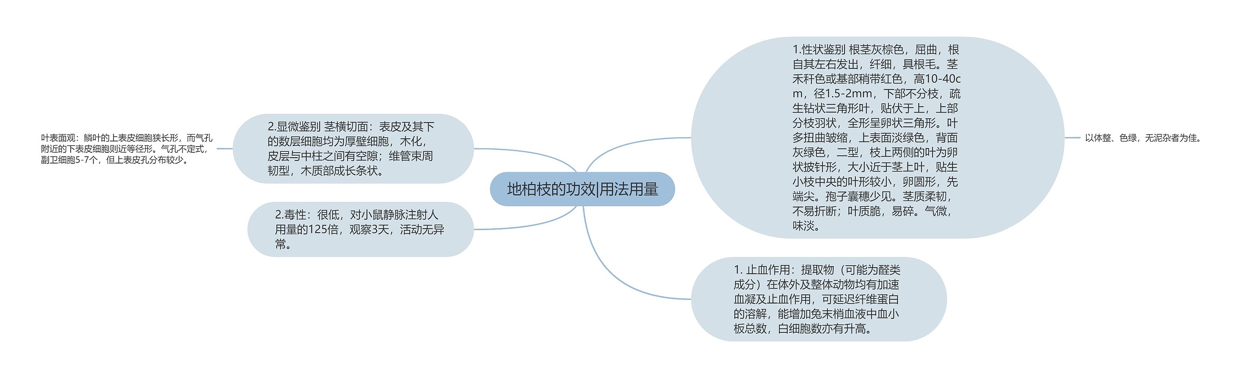 地柏枝的功效|用法用量