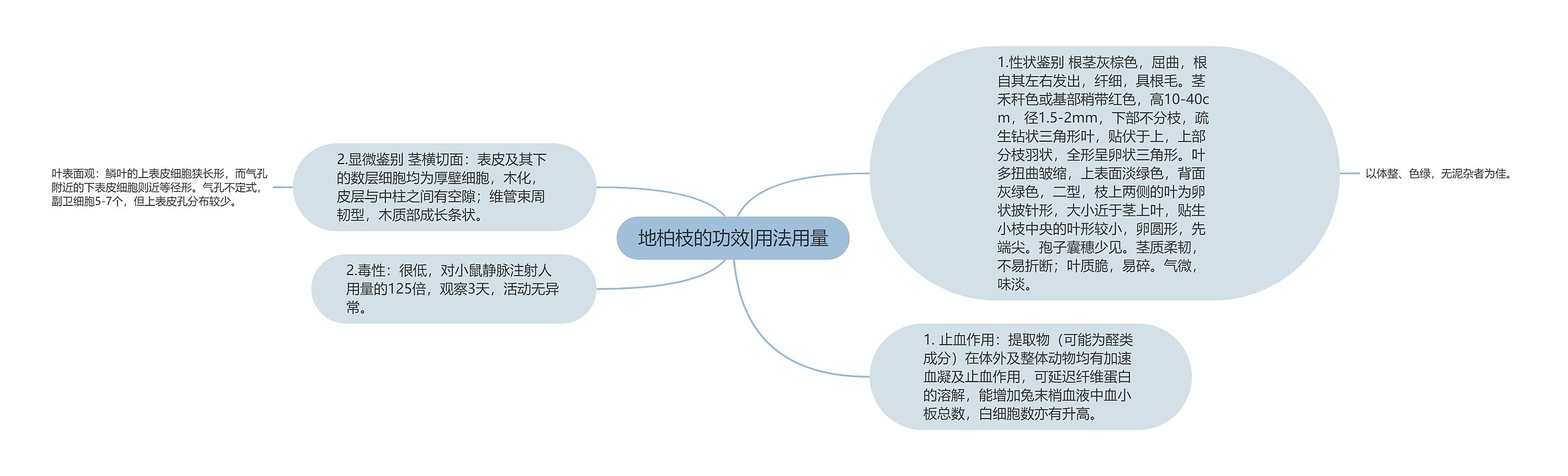 地柏枝的功效|用法用量思维导图