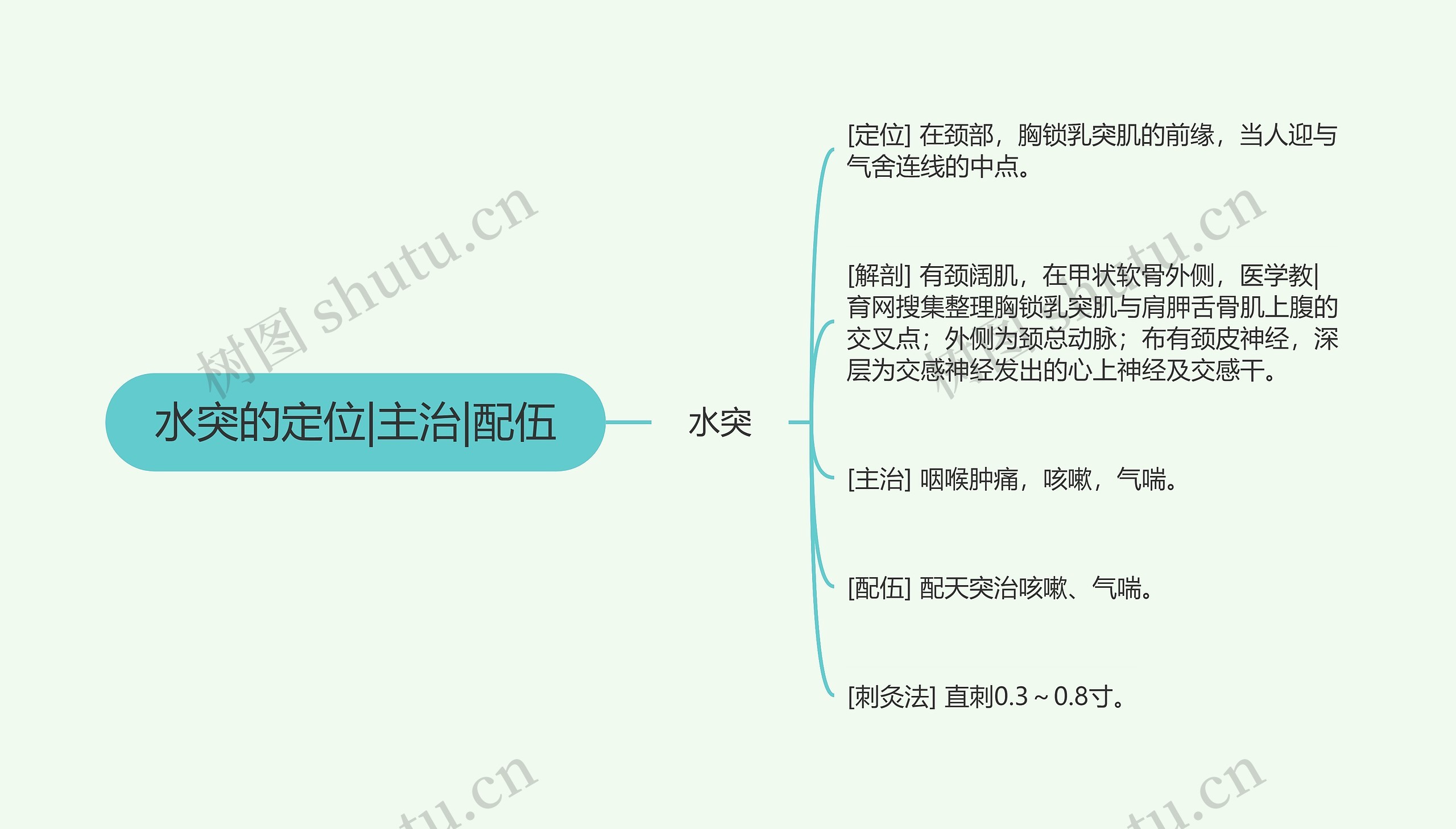 水突的定位|主治|配伍思维导图