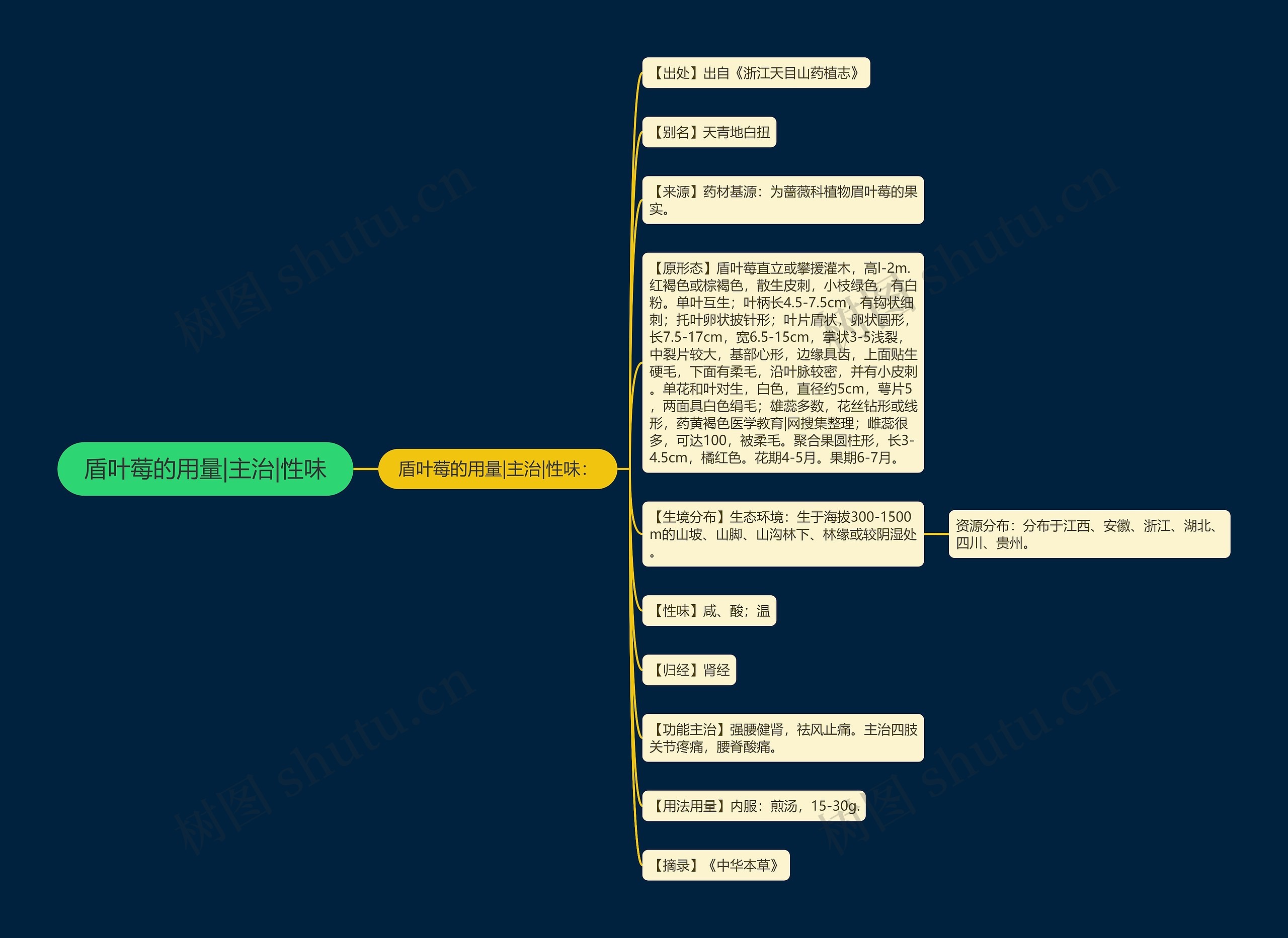盾叶莓的用量|主治|性味思维导图