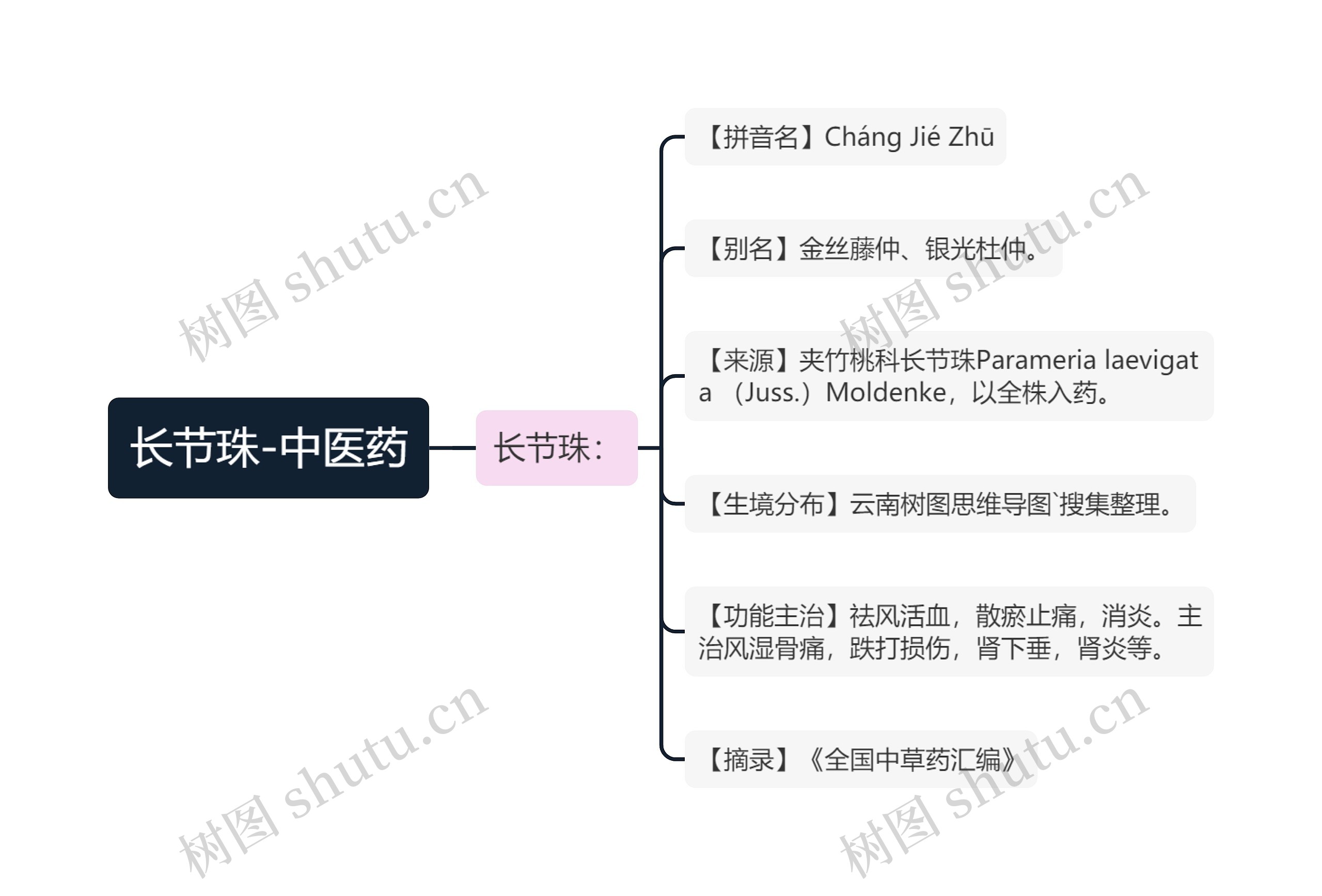 长节珠-中医药思维导图