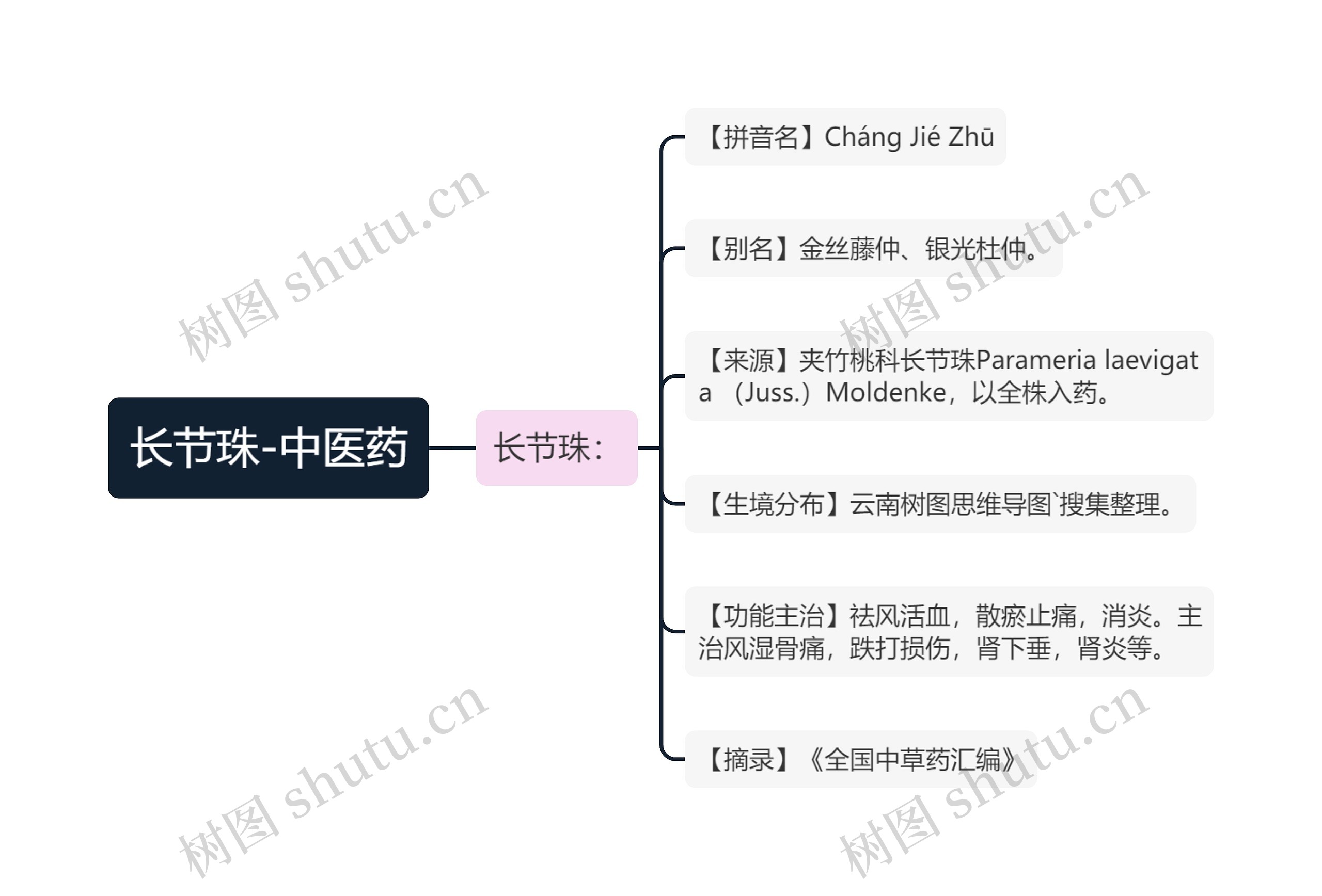 长节珠-中医药 长节珠-中医药
