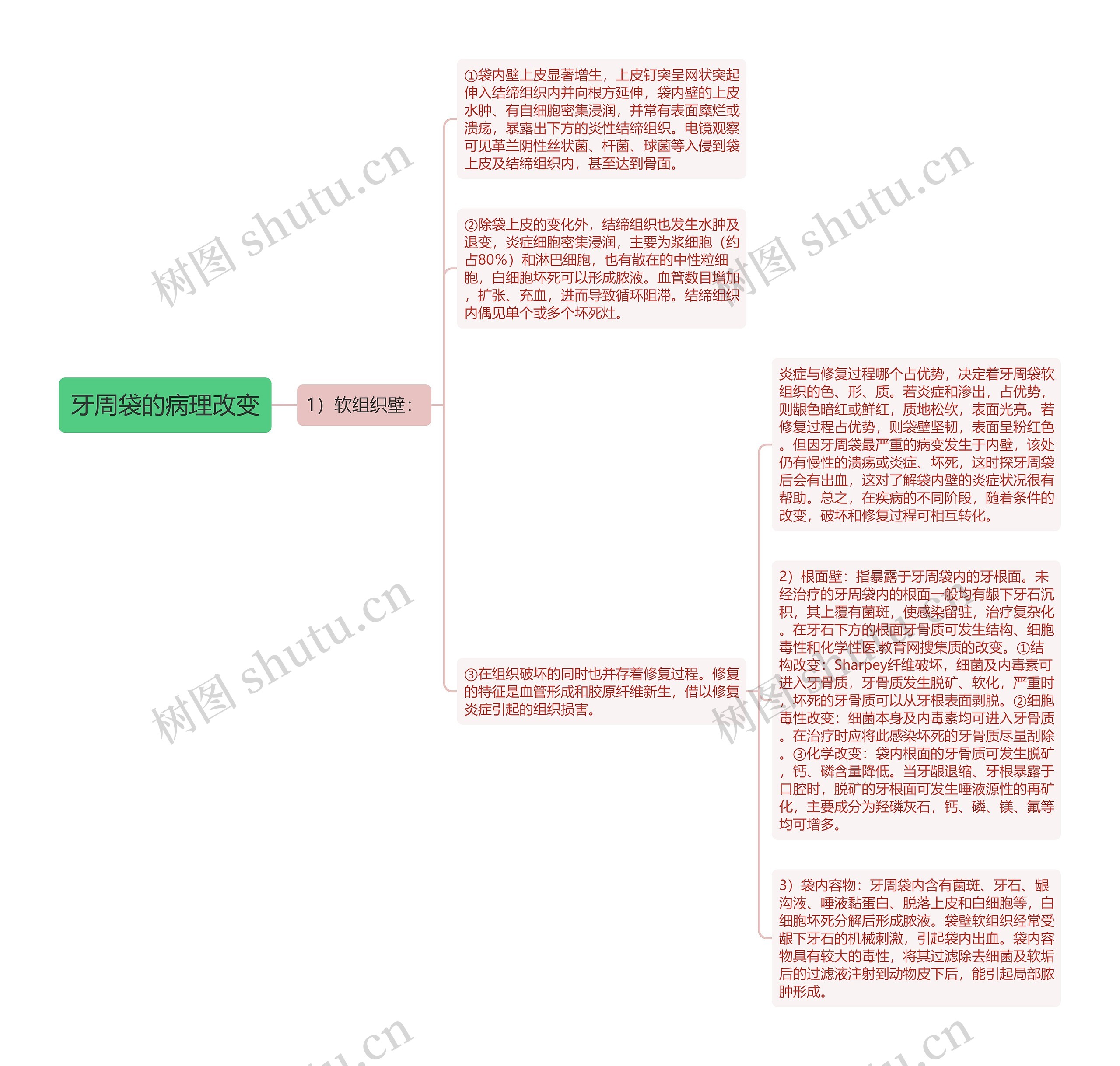 牙周袋的病理改变思维导图