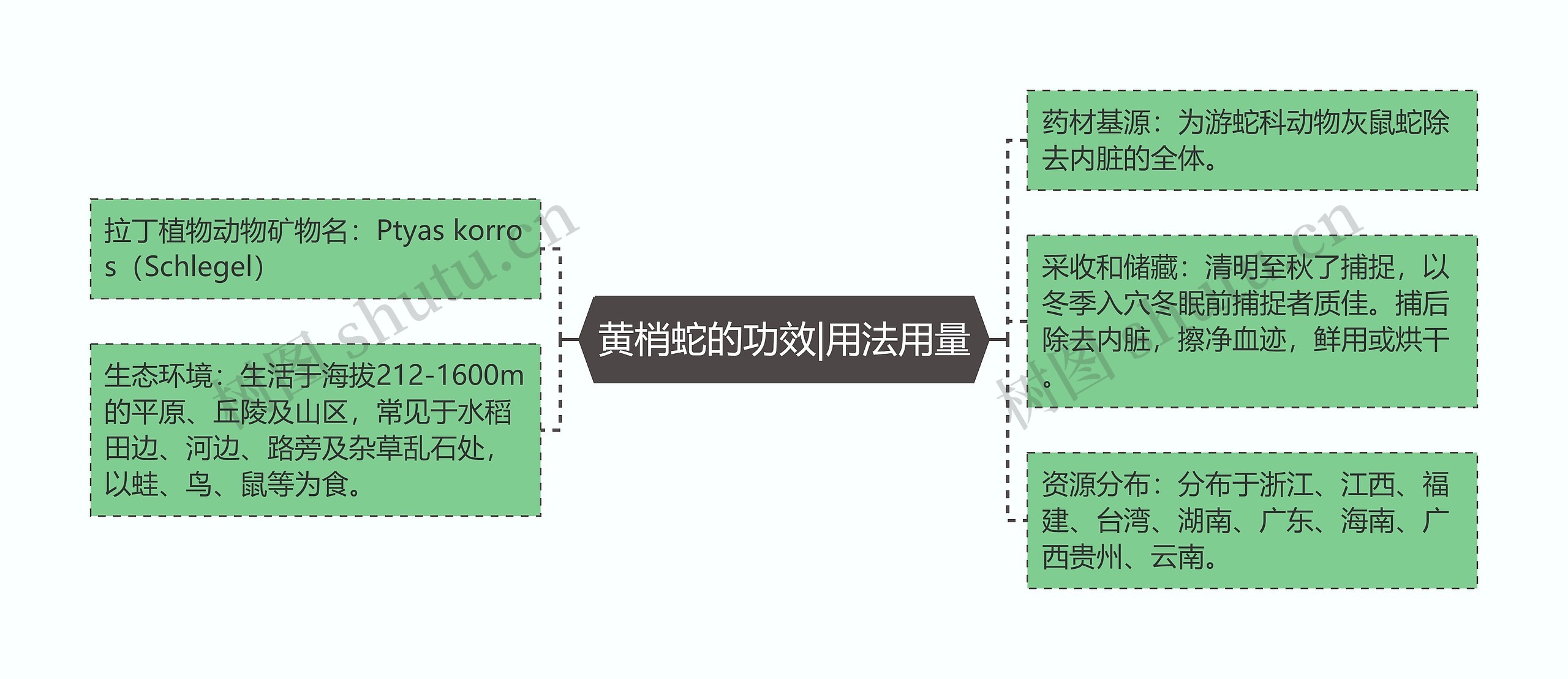 黄梢蛇的功效|用法用量思维导图