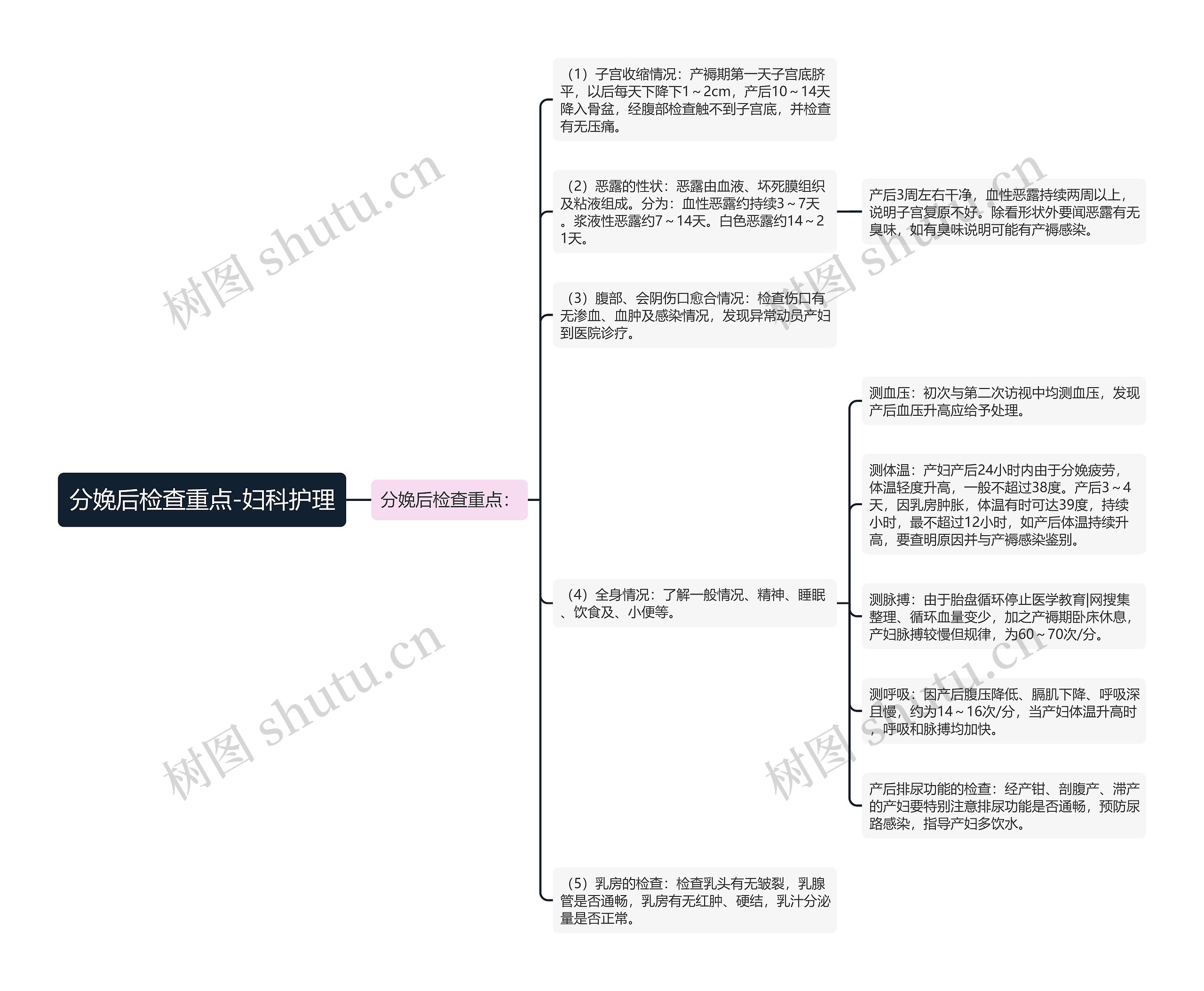 分娩后检查重点-妇科护理