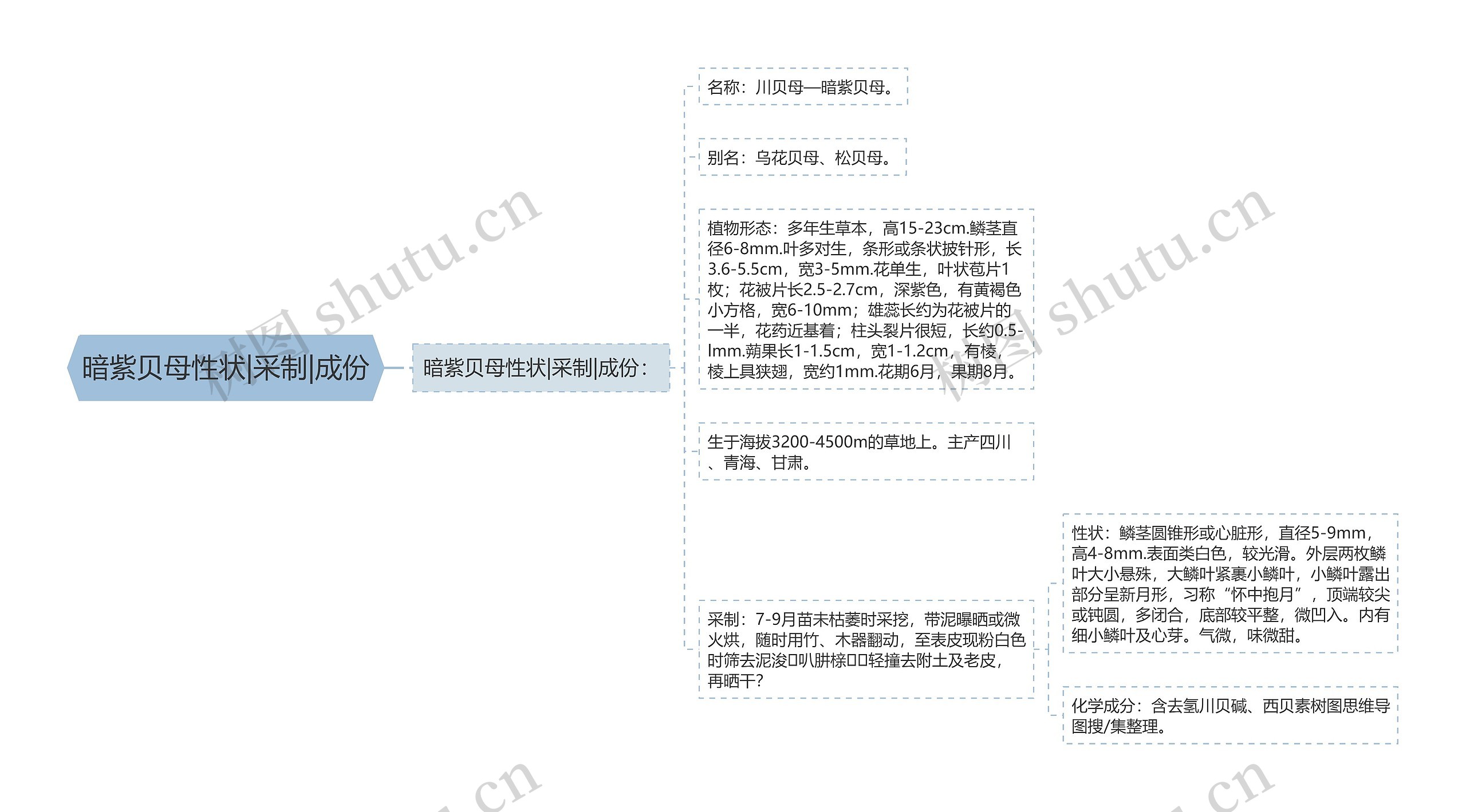 暗紫贝母性状|采制|成份