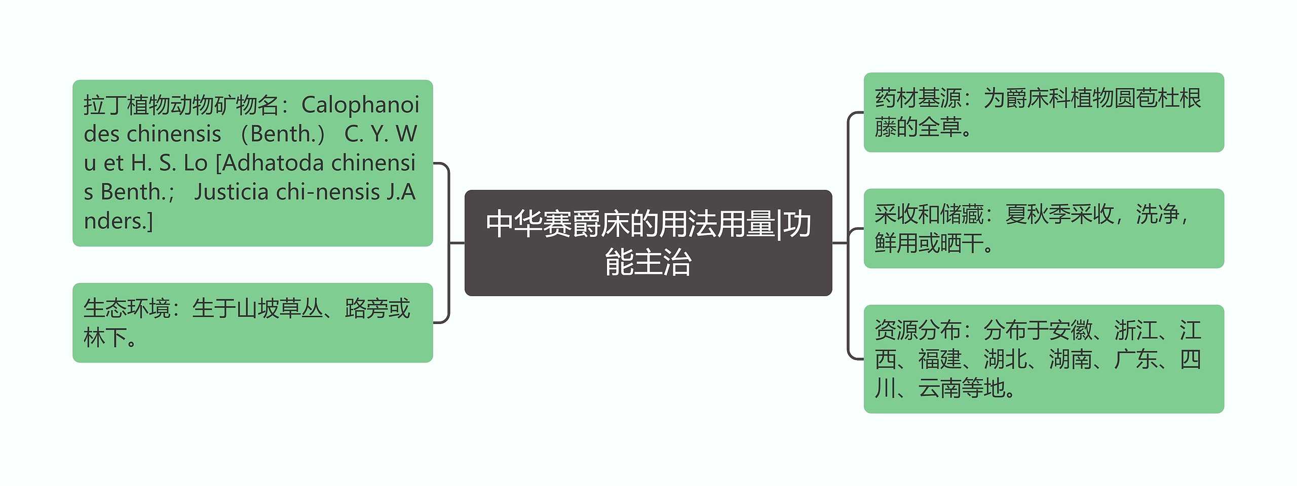 中华赛爵床的用法用量|功能主治