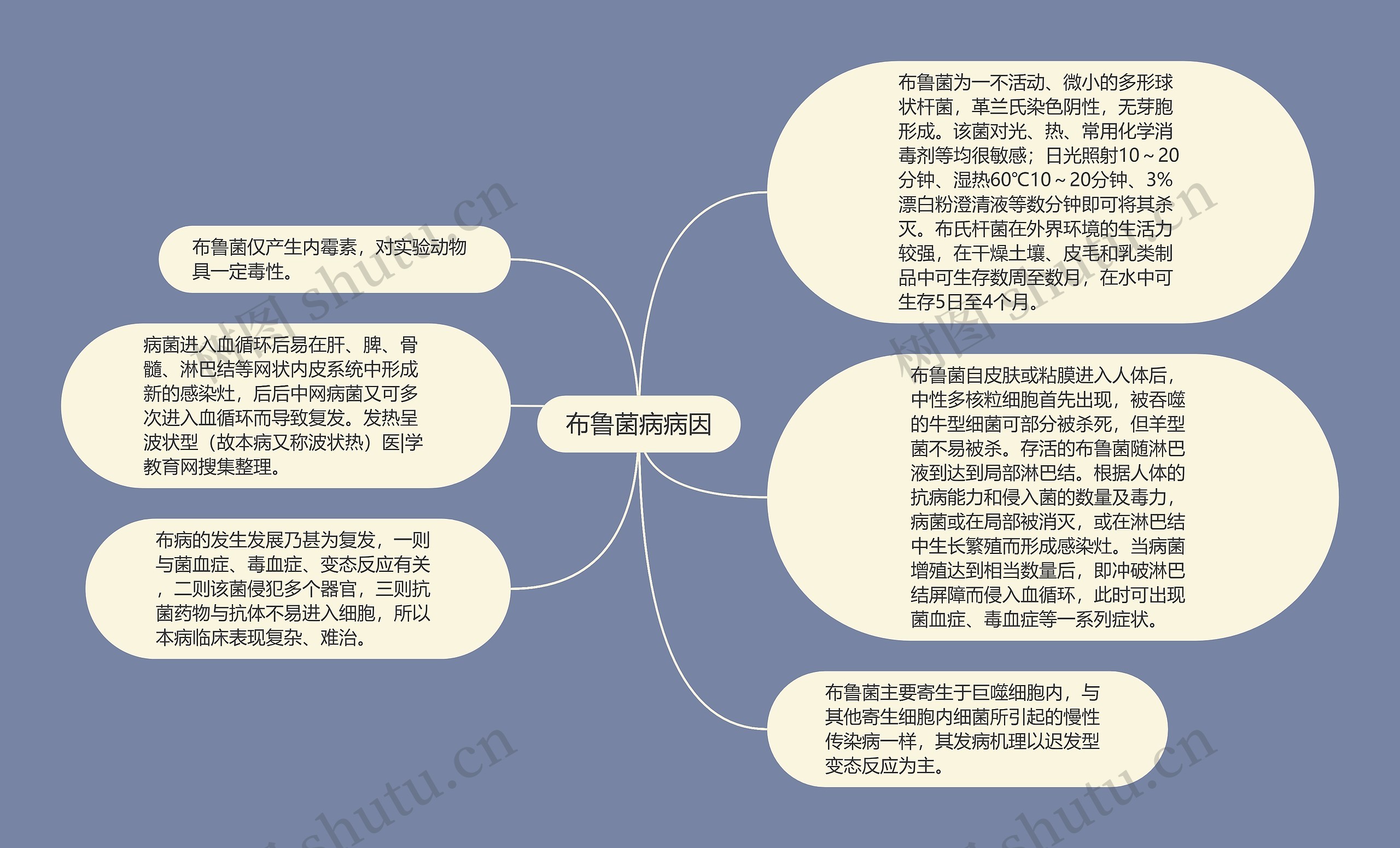 布鲁菌病病因思维导图