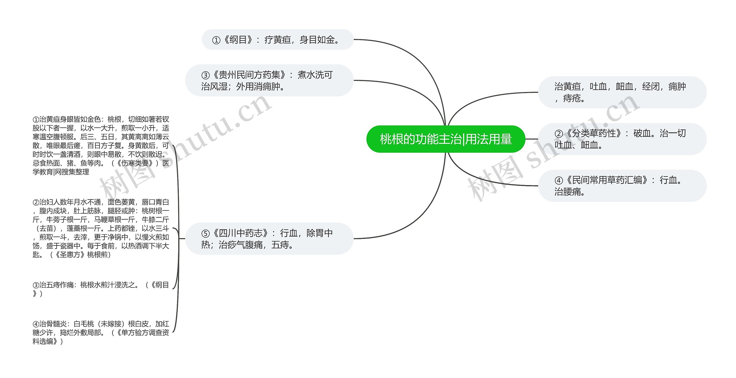 桃根的功能主治|用法用量思维导图