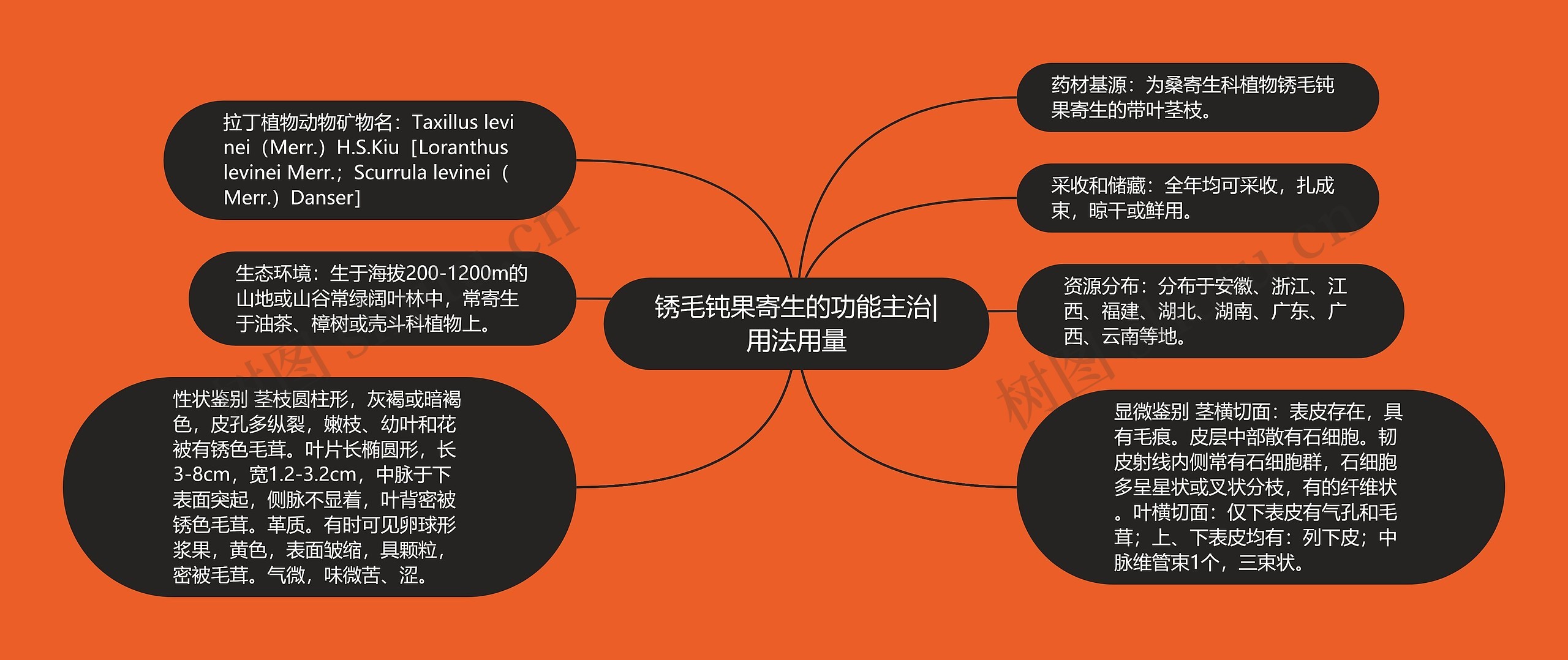 锈毛钝果寄生的功能主治|用法用量思维导图