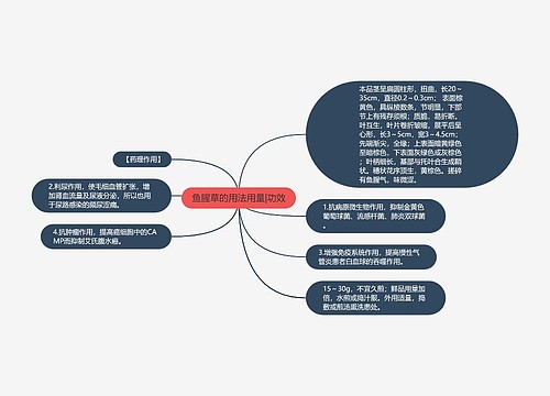 鱼腥草的用法用量|功效