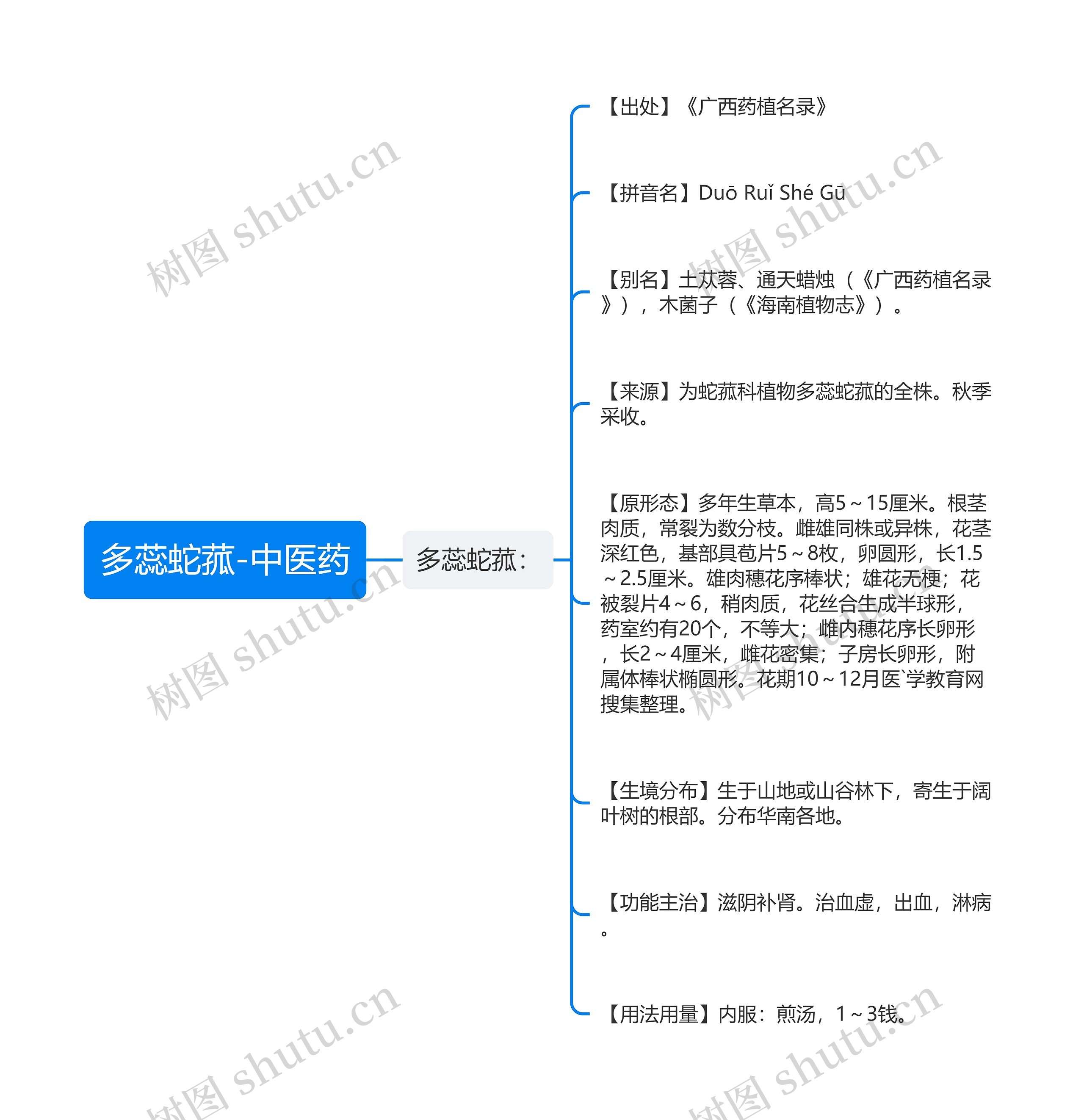 多蕊蛇菰-中医药思维导图