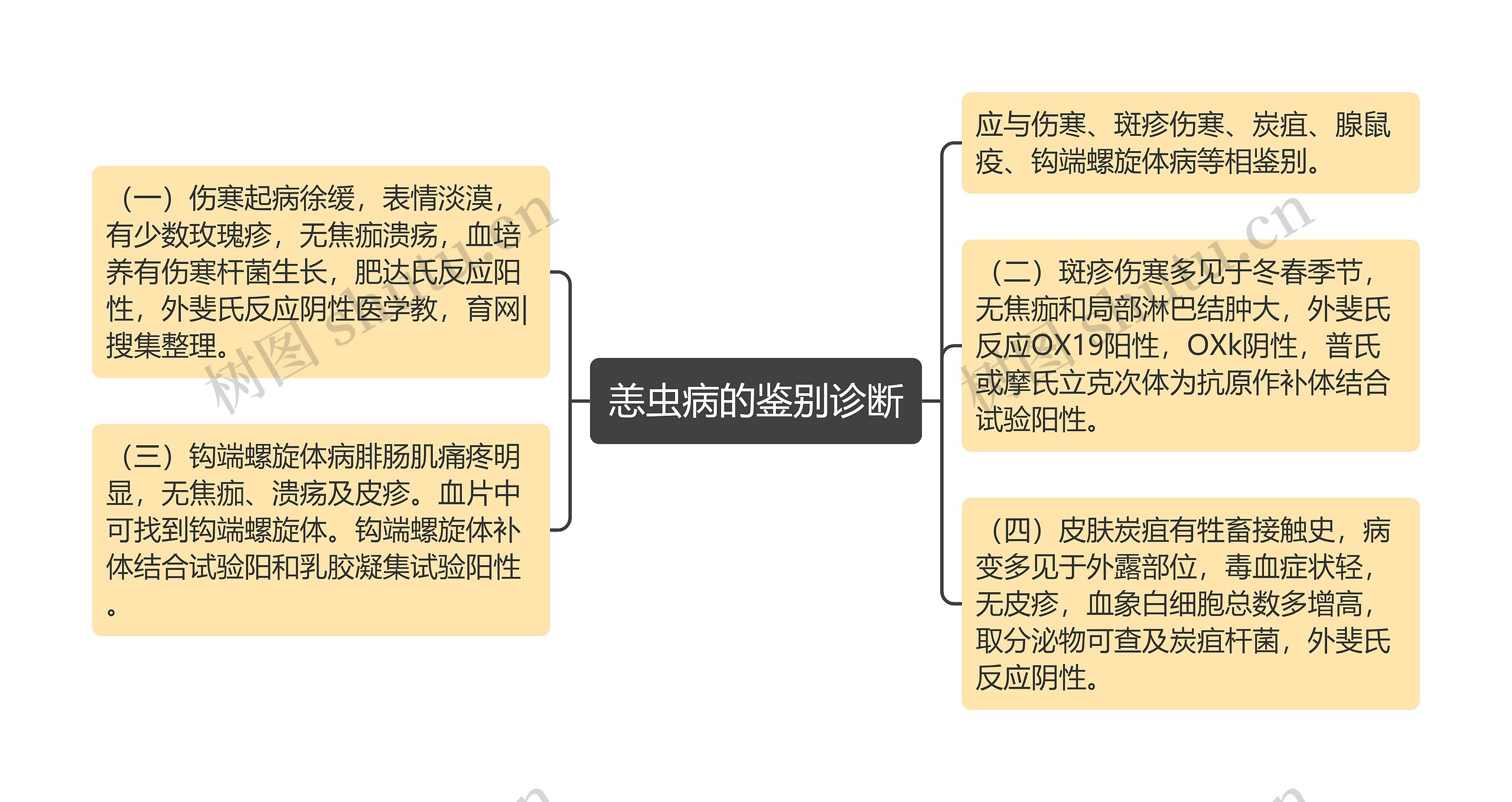 恙虫病的鉴别诊断