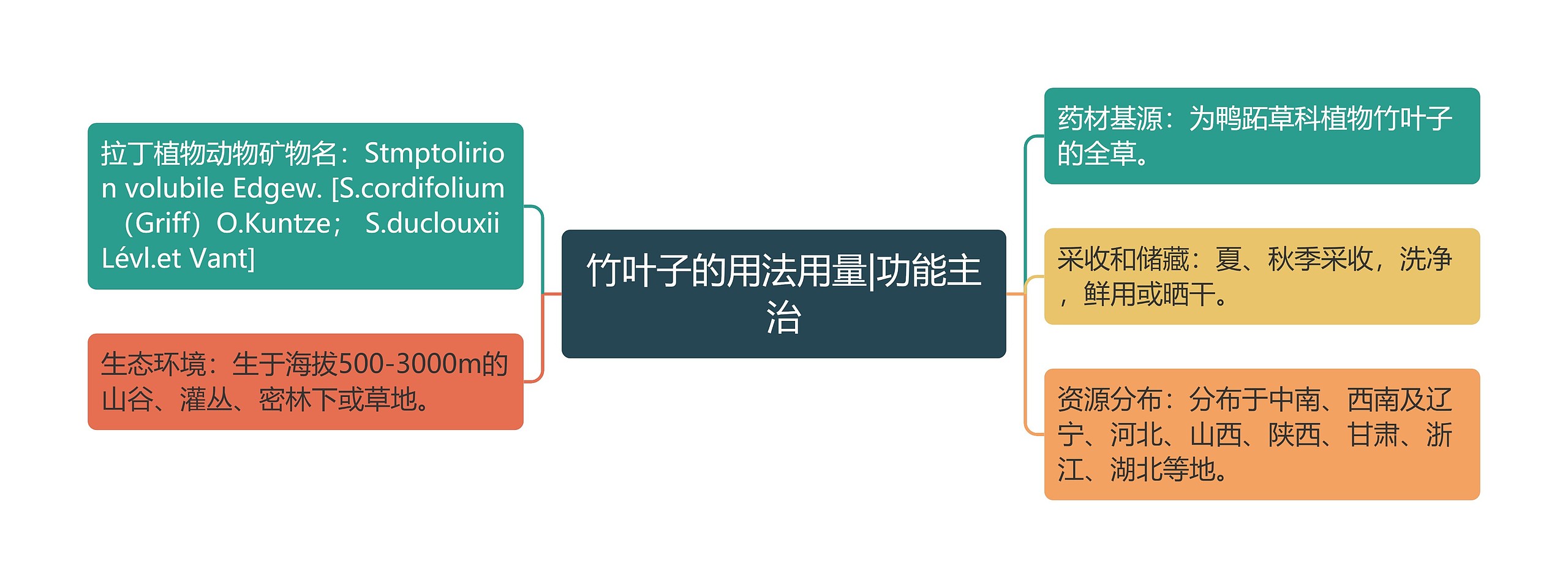 竹叶子的用法用量|功能主治思维导图