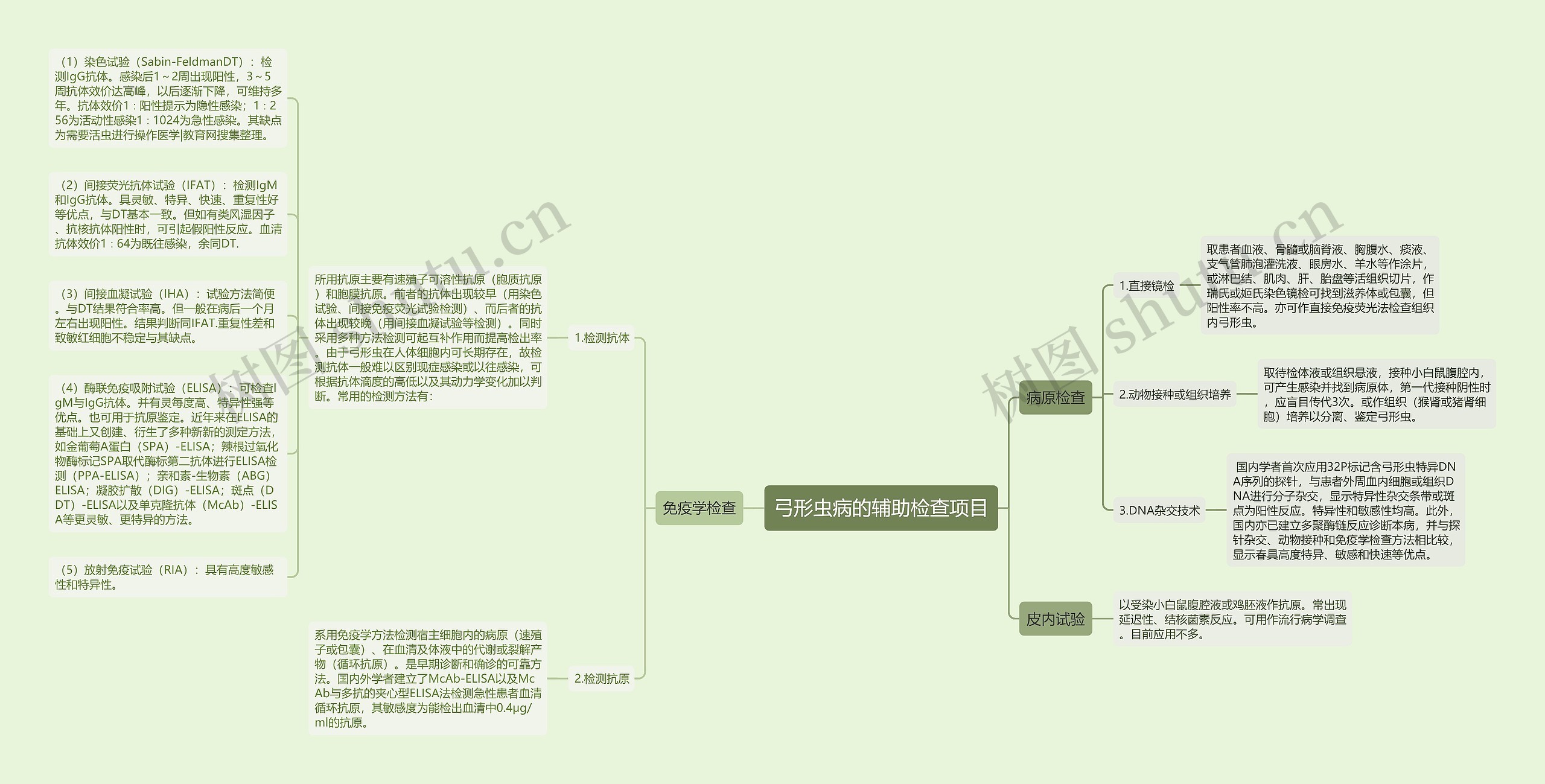 弓形虫病的辅助检查项目思维导图