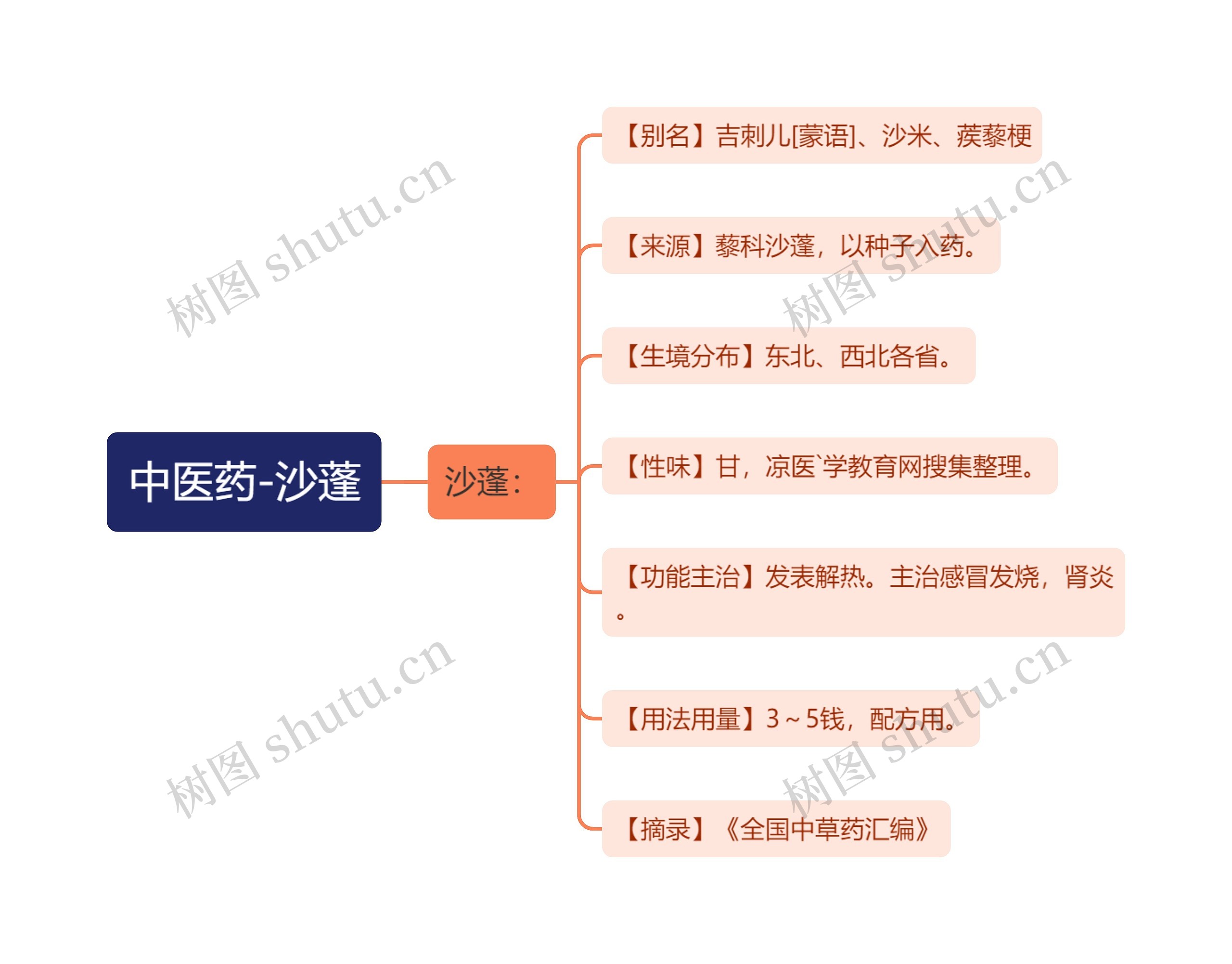 中医药-沙蓬思维导图