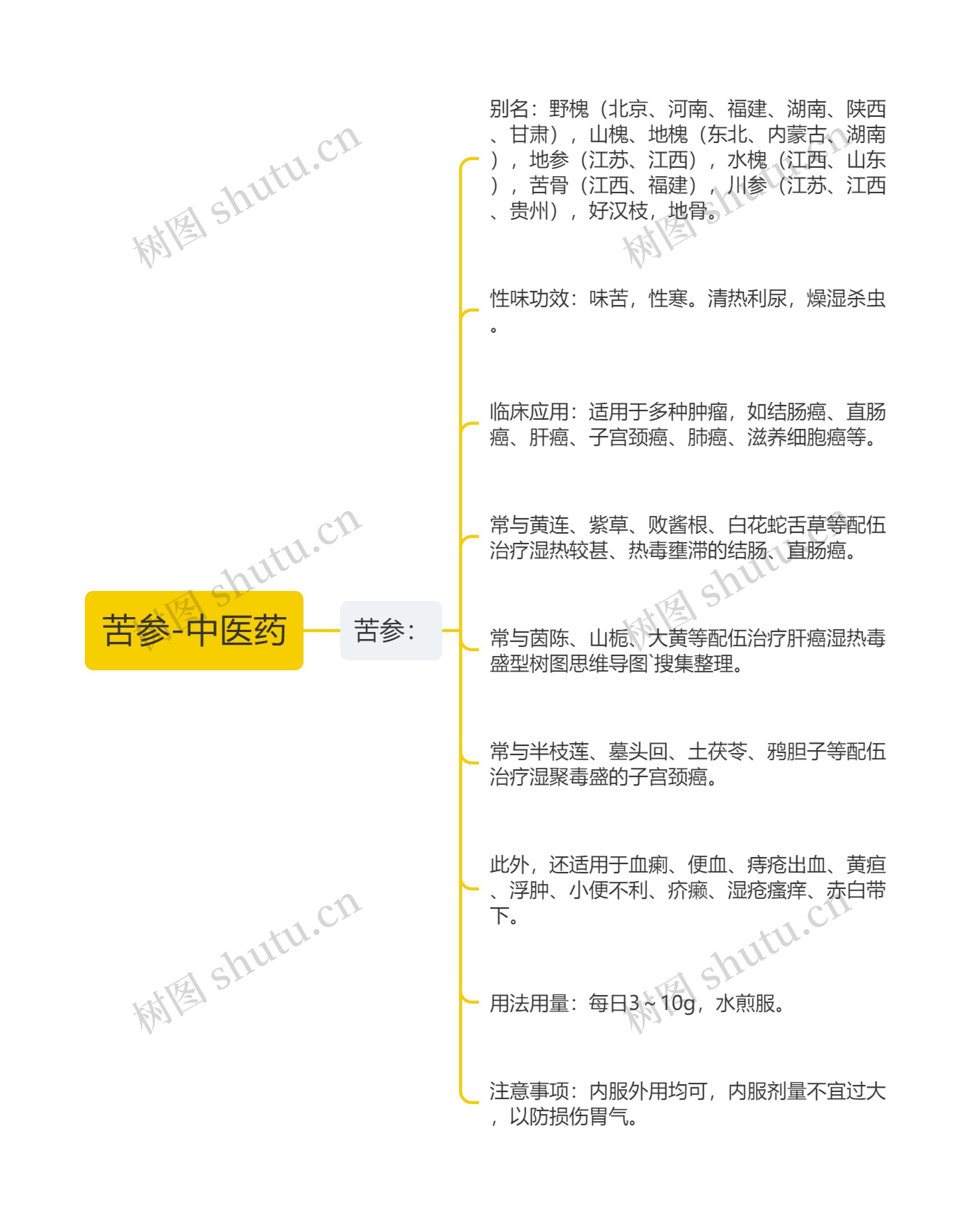 苦参-中医药思维导图