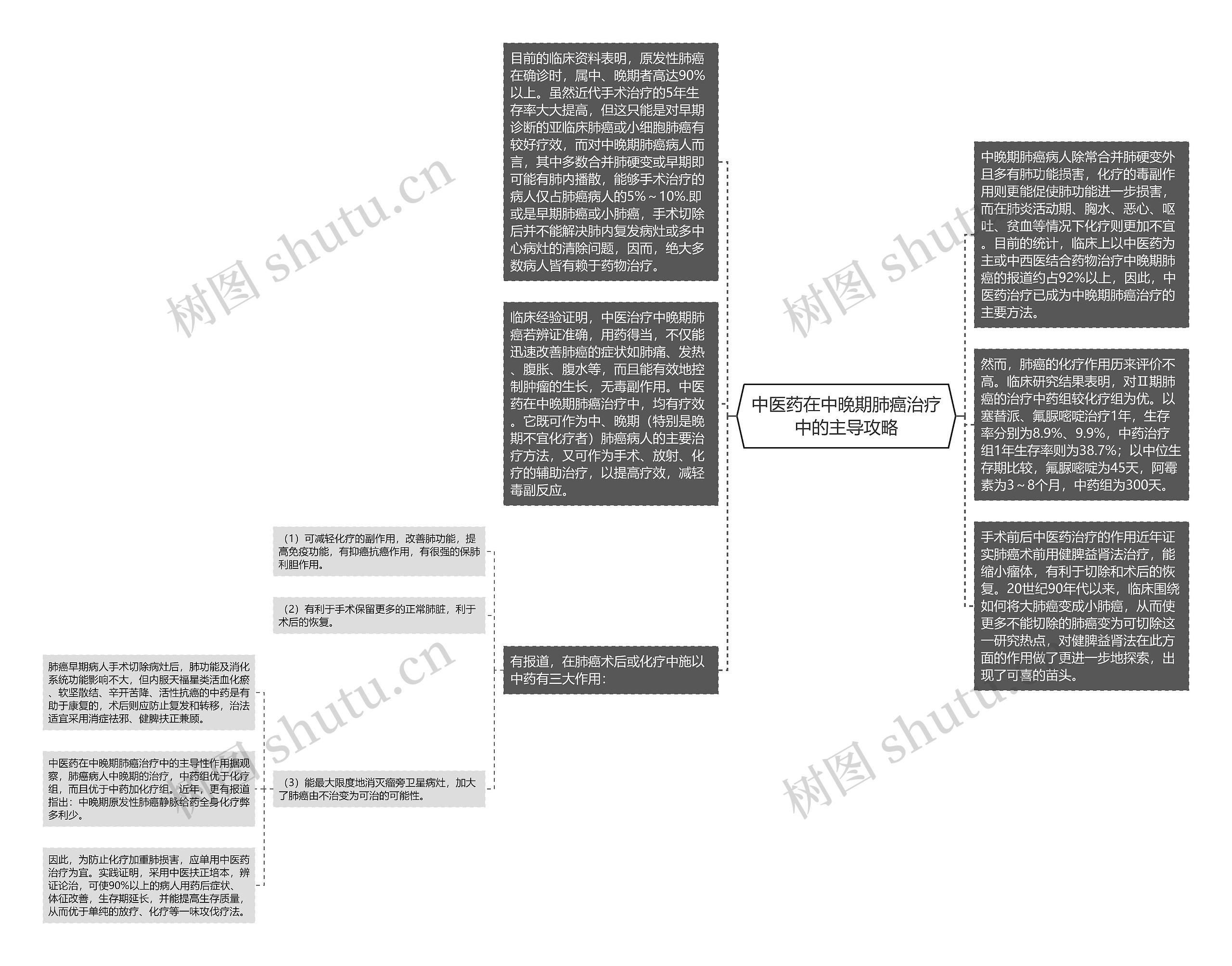 中医药在中晚期肺癌治疗中的主导攻略思维导图