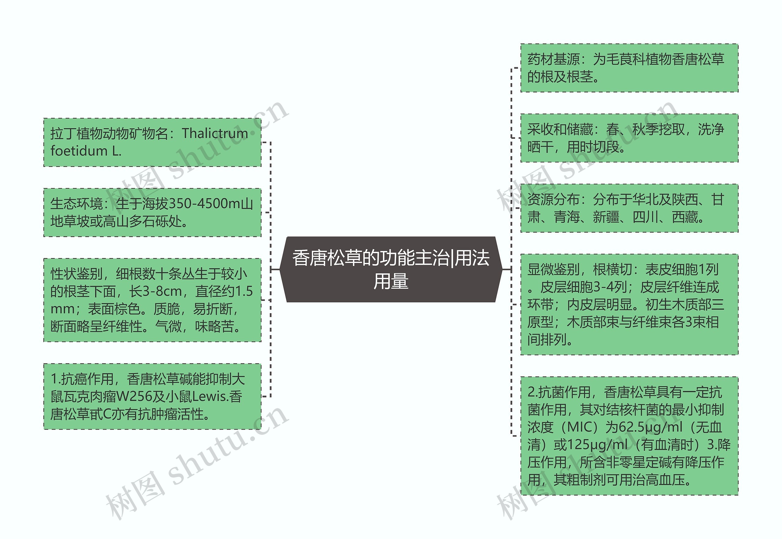 香唐松草的功能主治|用法用量