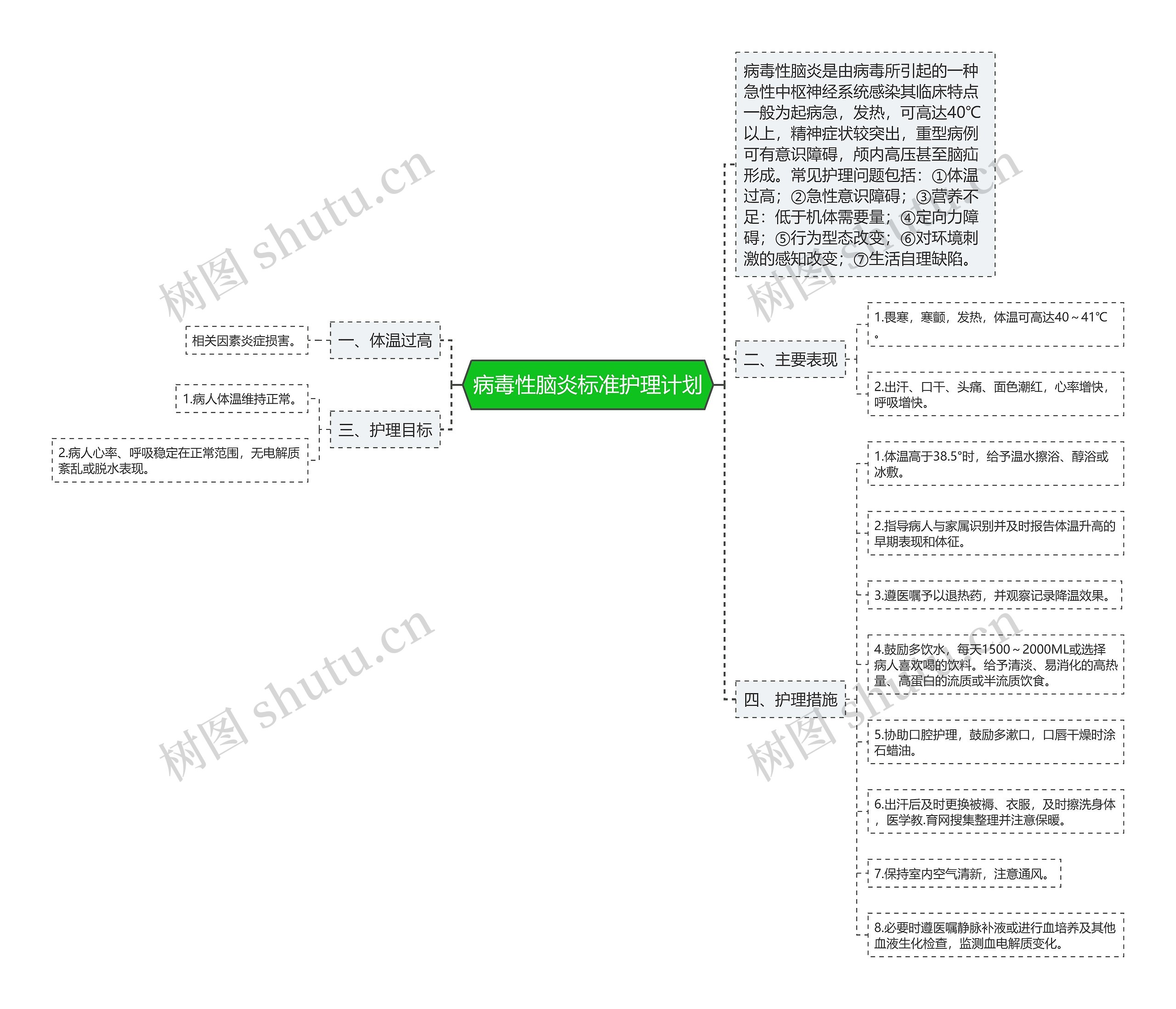 病毒性脑炎标准护理计划