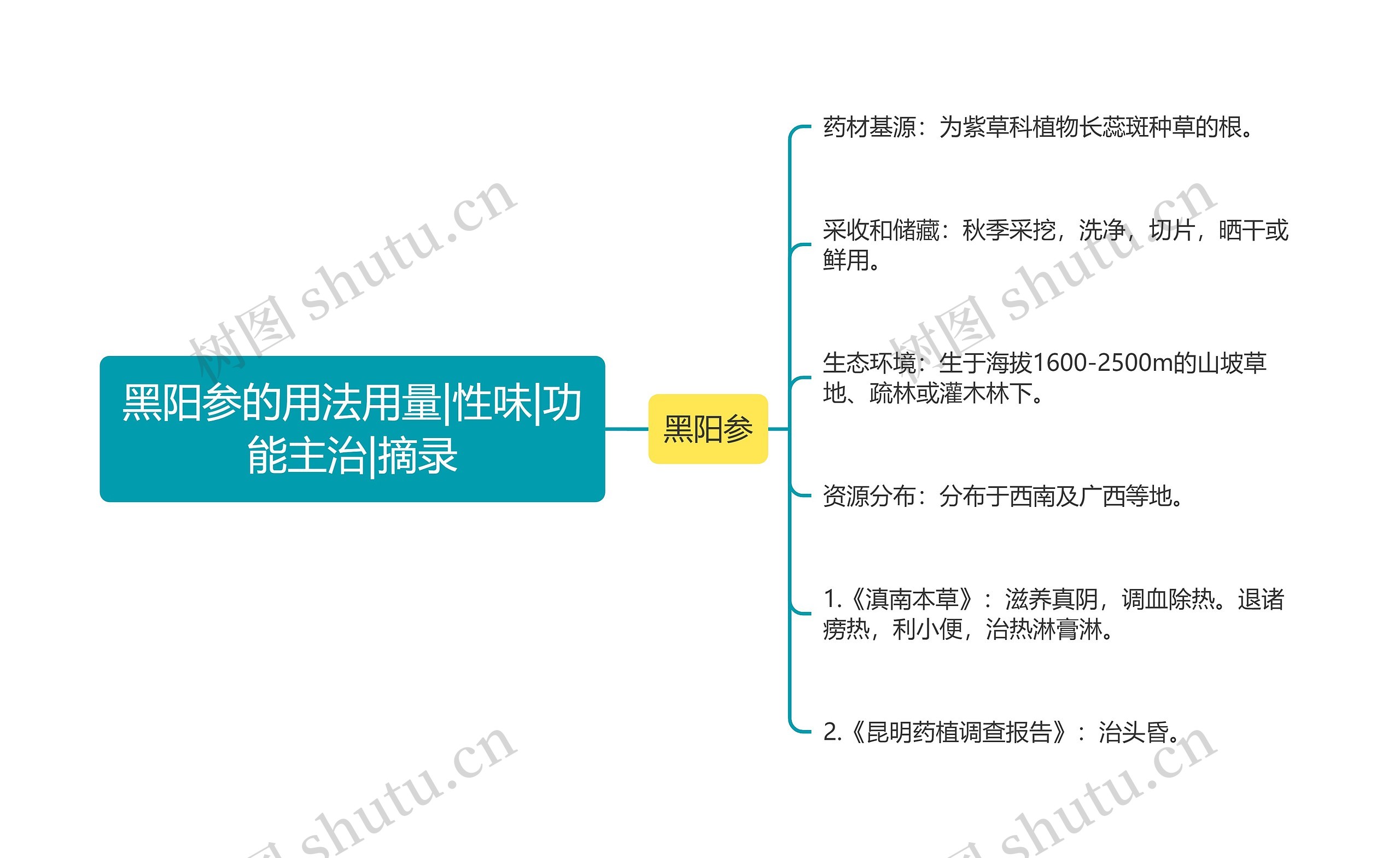 黑阳参的用法用量|性味|功能主治|摘录思维导图