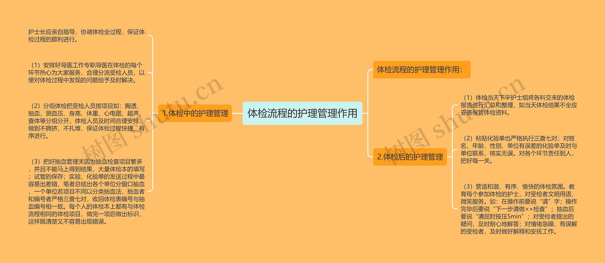 体检流程的护理管理作用