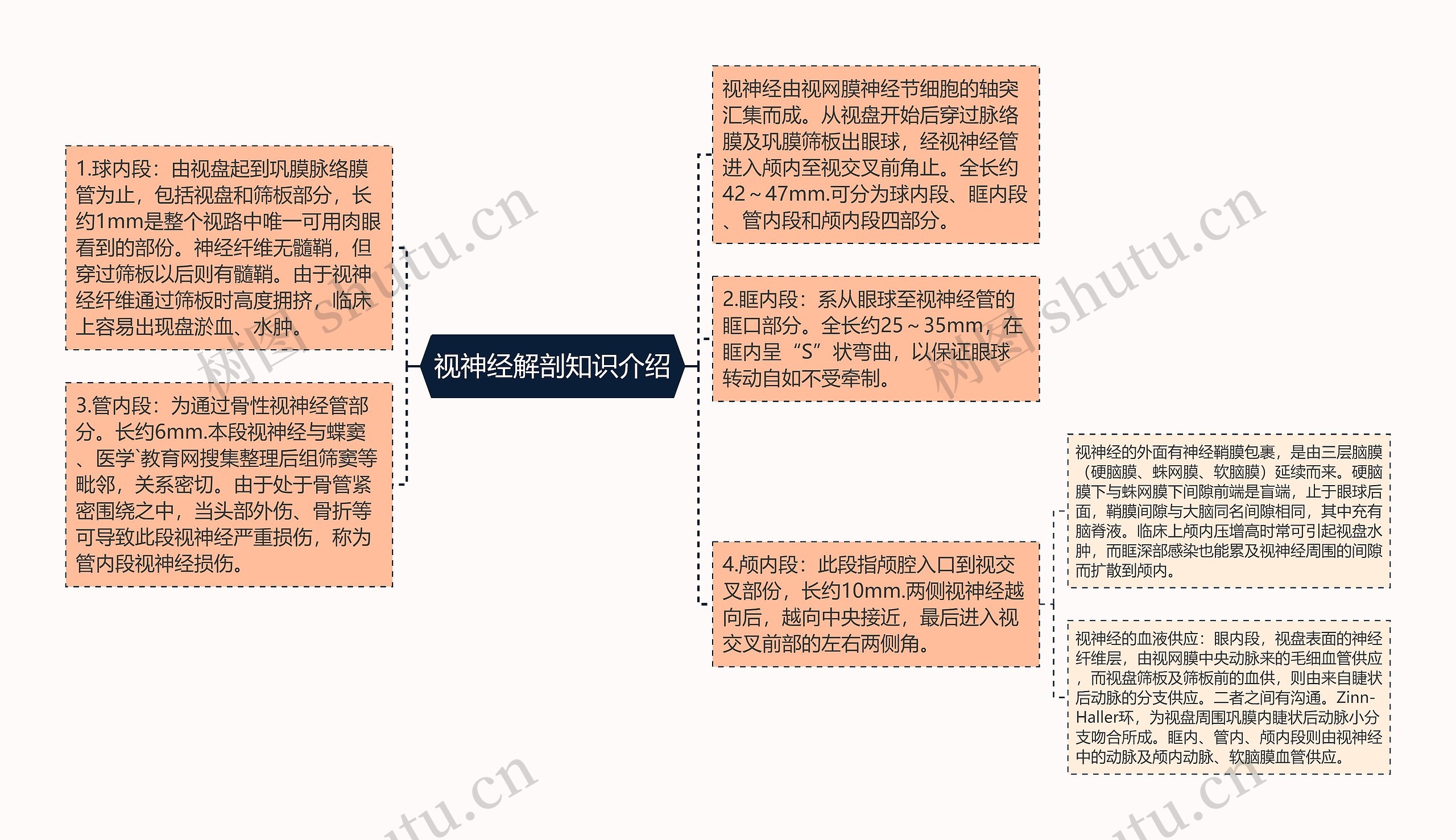 视神经解剖知识介绍思维导图