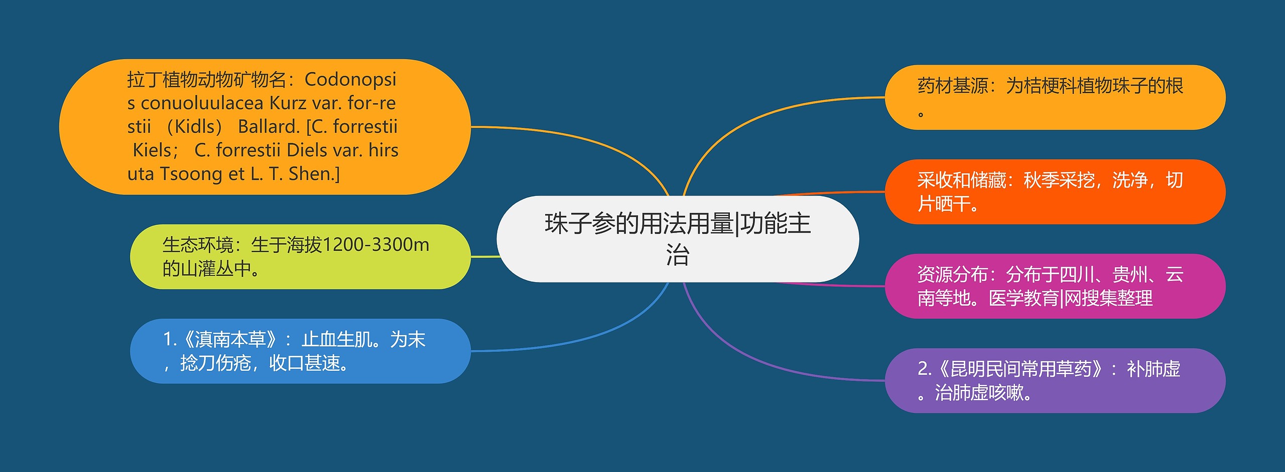 珠子参的用法用量|功能主治思维导图