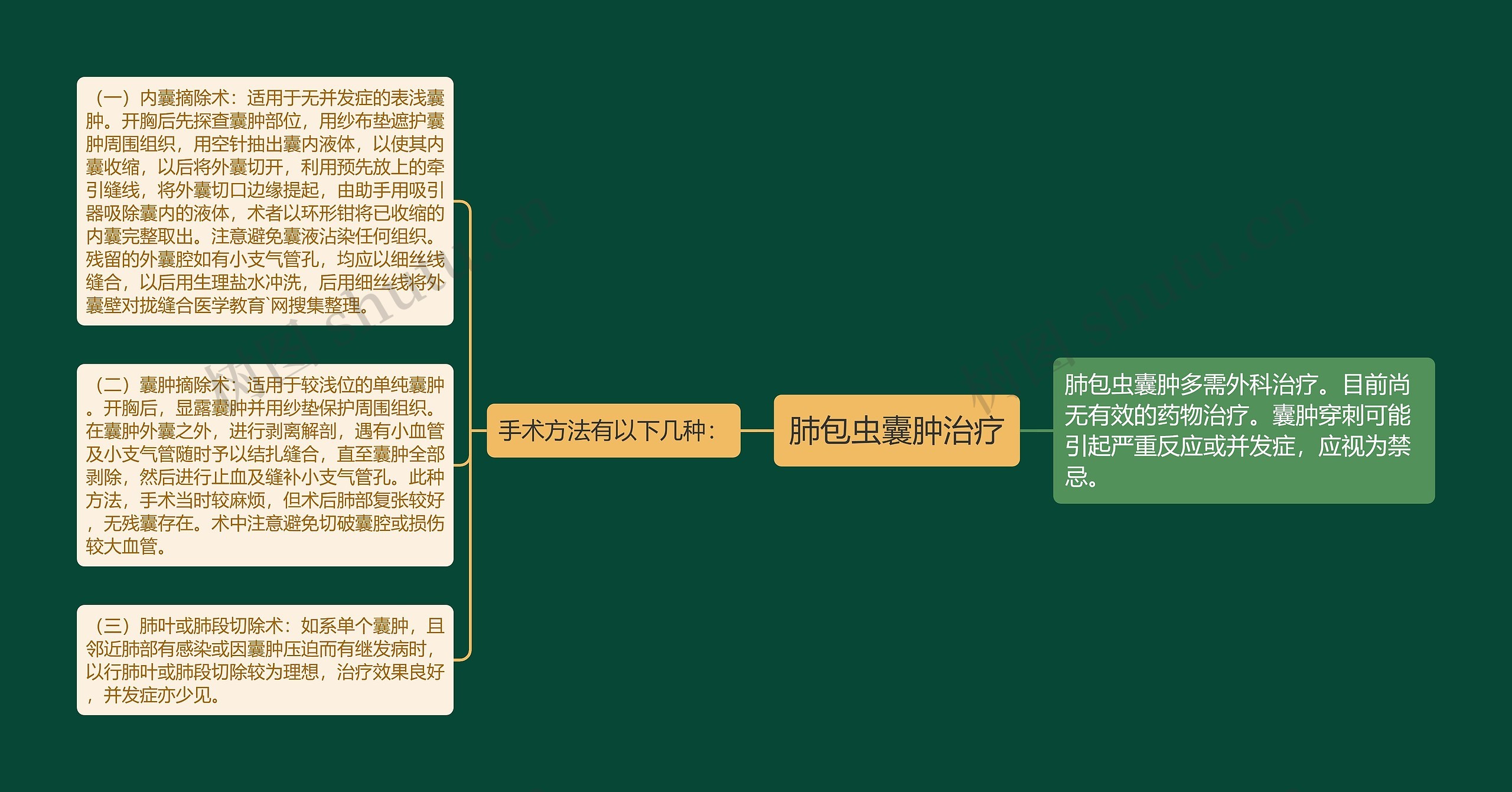 肺包虫囊肿治疗思维导图