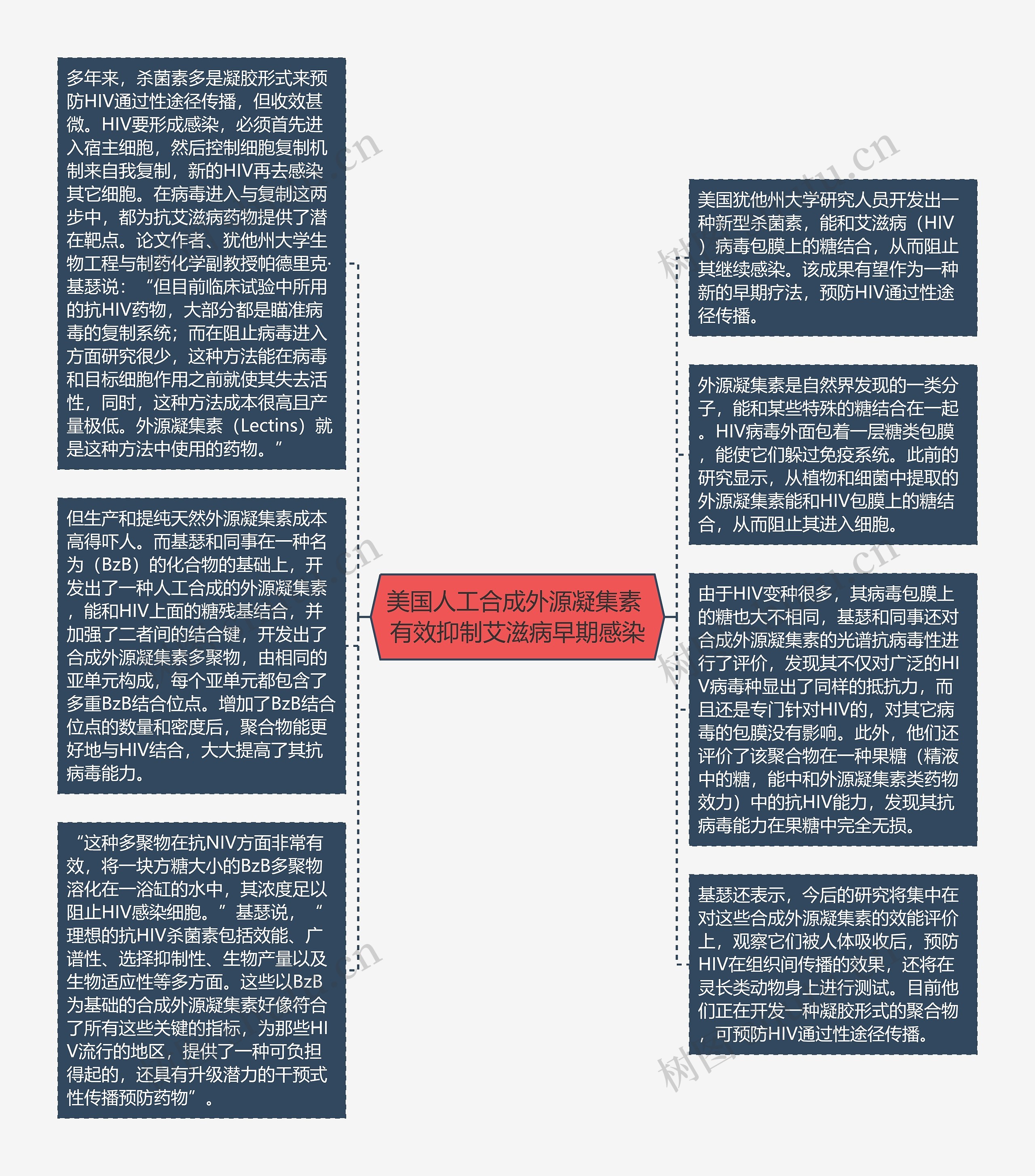 美国人工合成外源凝集素 有效抑制艾滋病早期感染思维导图