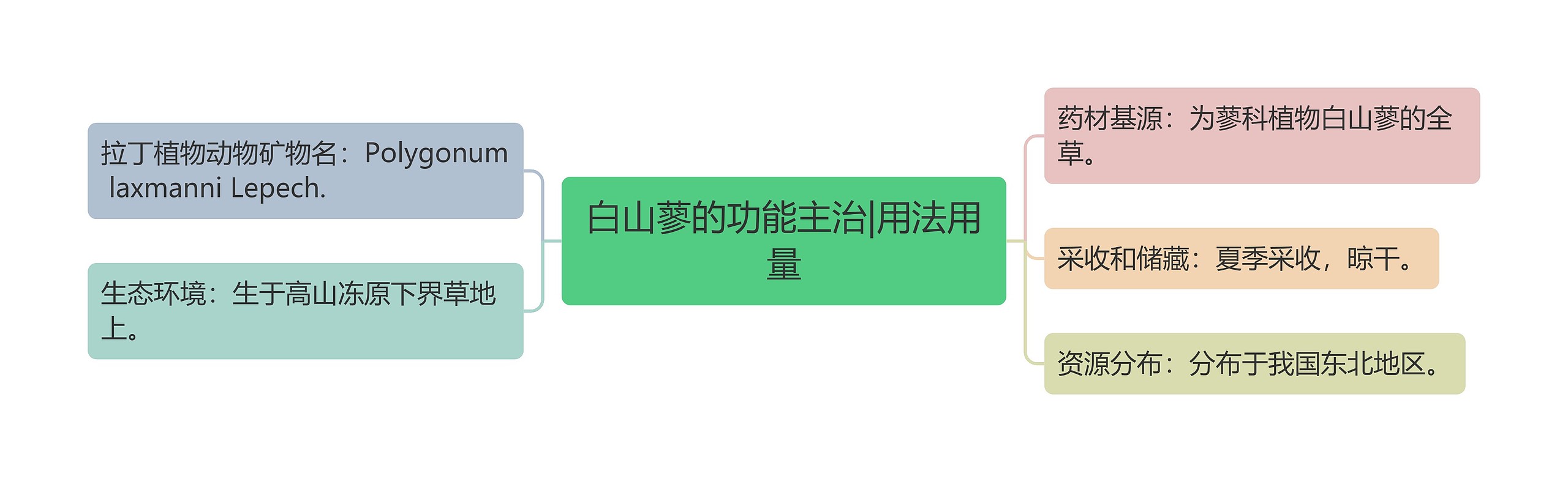 白山蓼的功能主治|用法用量 白山蓼的功能主治|用法用量