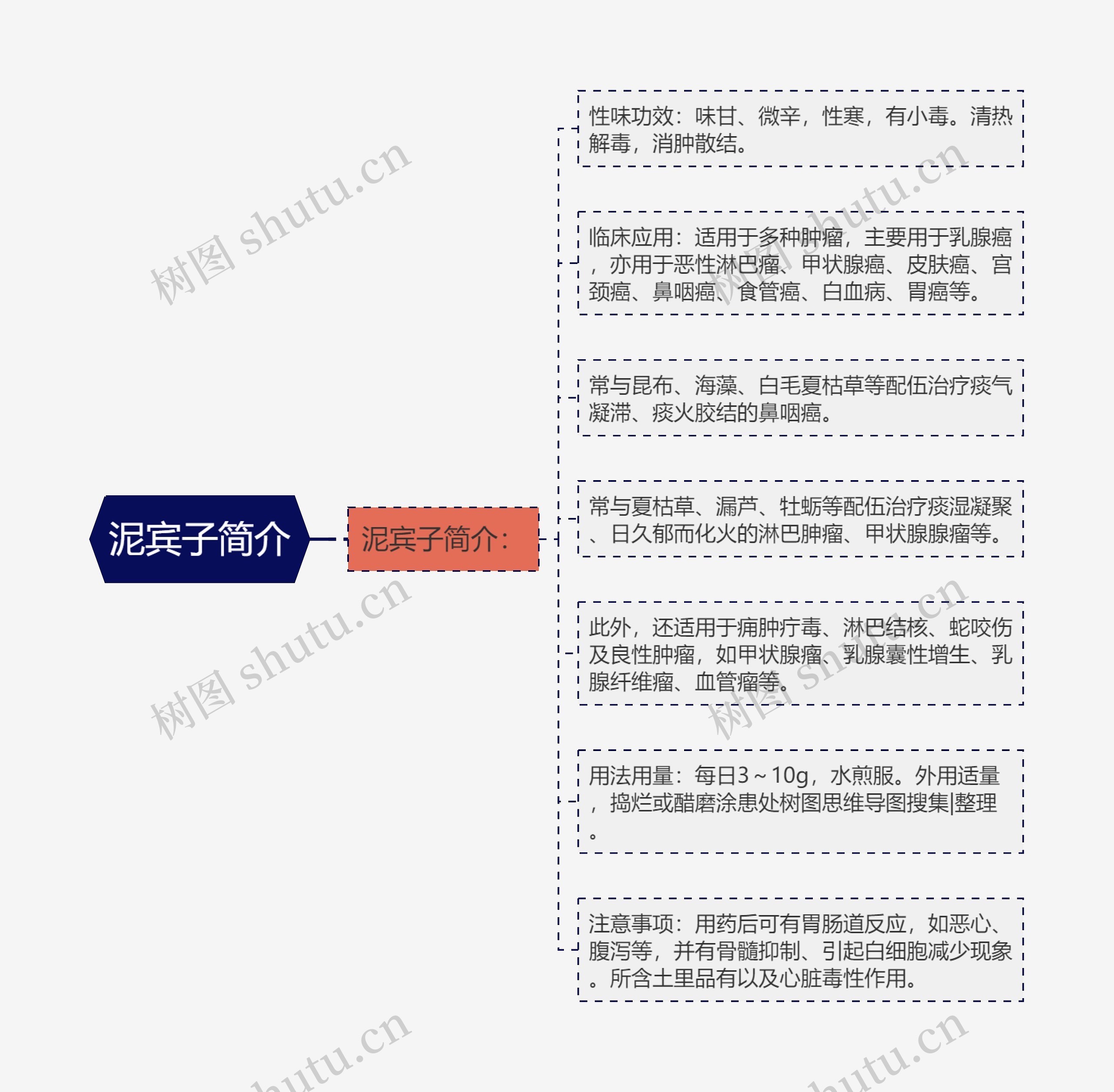 泥宾子简介思维导图