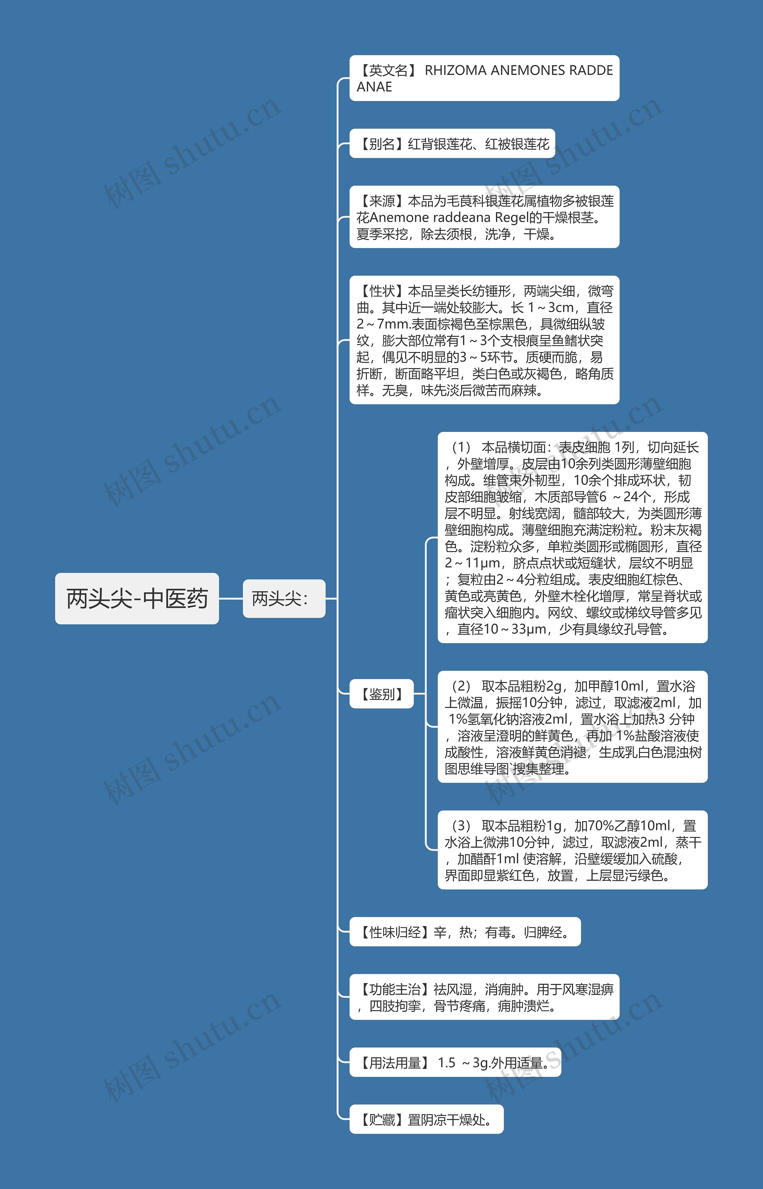 两头尖-中医药思维导图