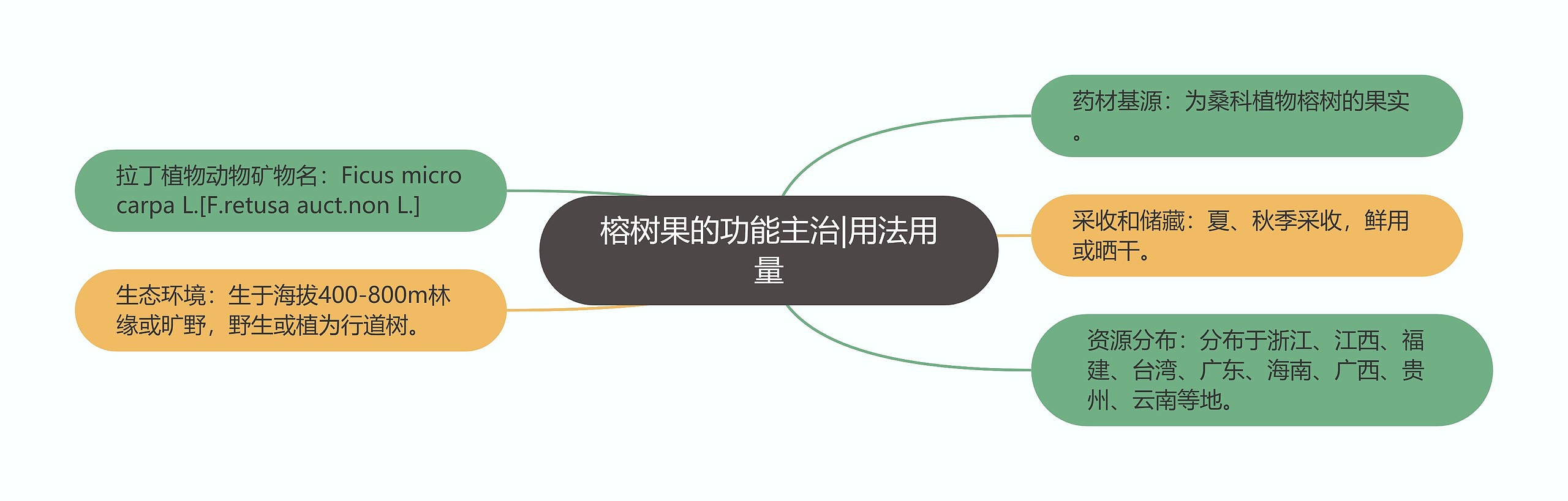 榕树果的功能主治|用法用量思维导图