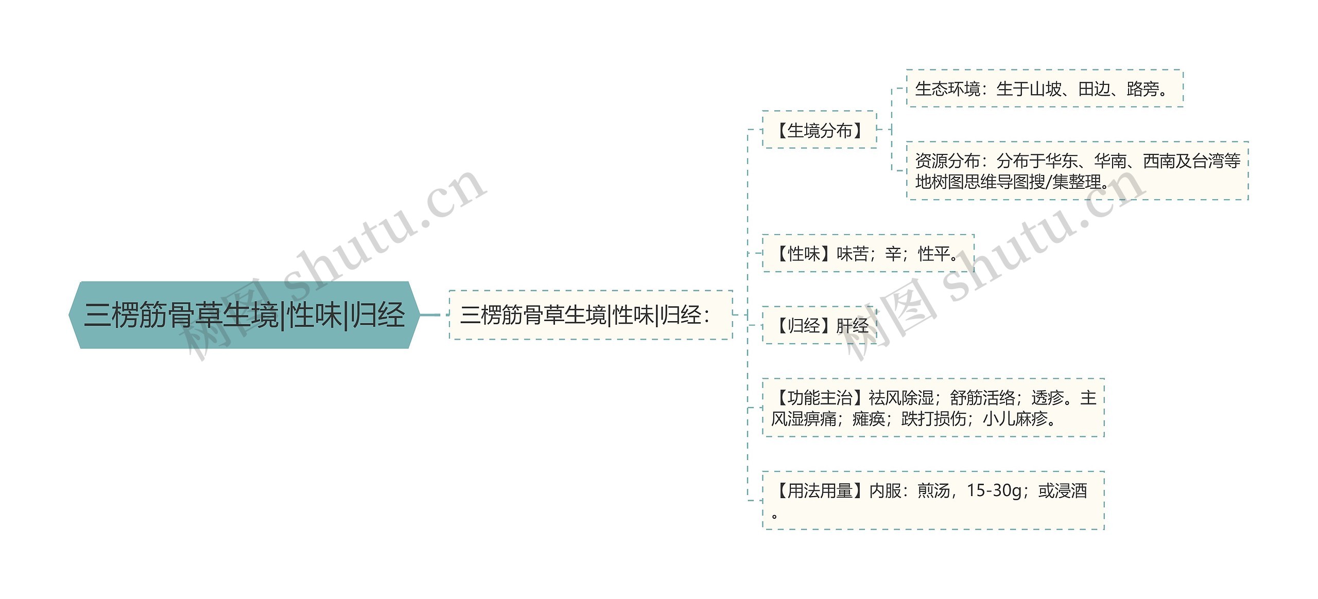 三楞筋骨草生境|性味|归经思维导图