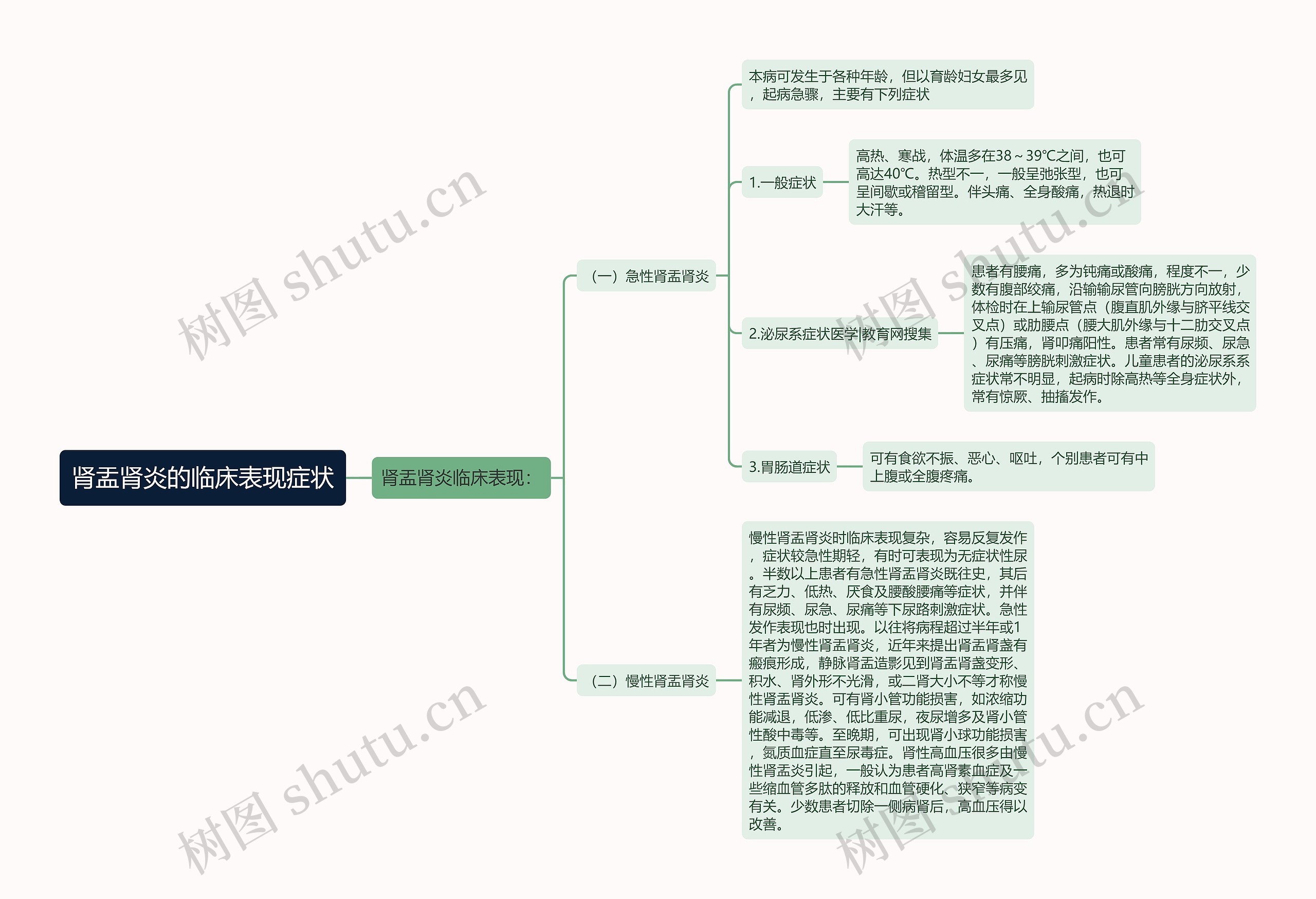 肾盂肾炎的临床表现症状思维导图