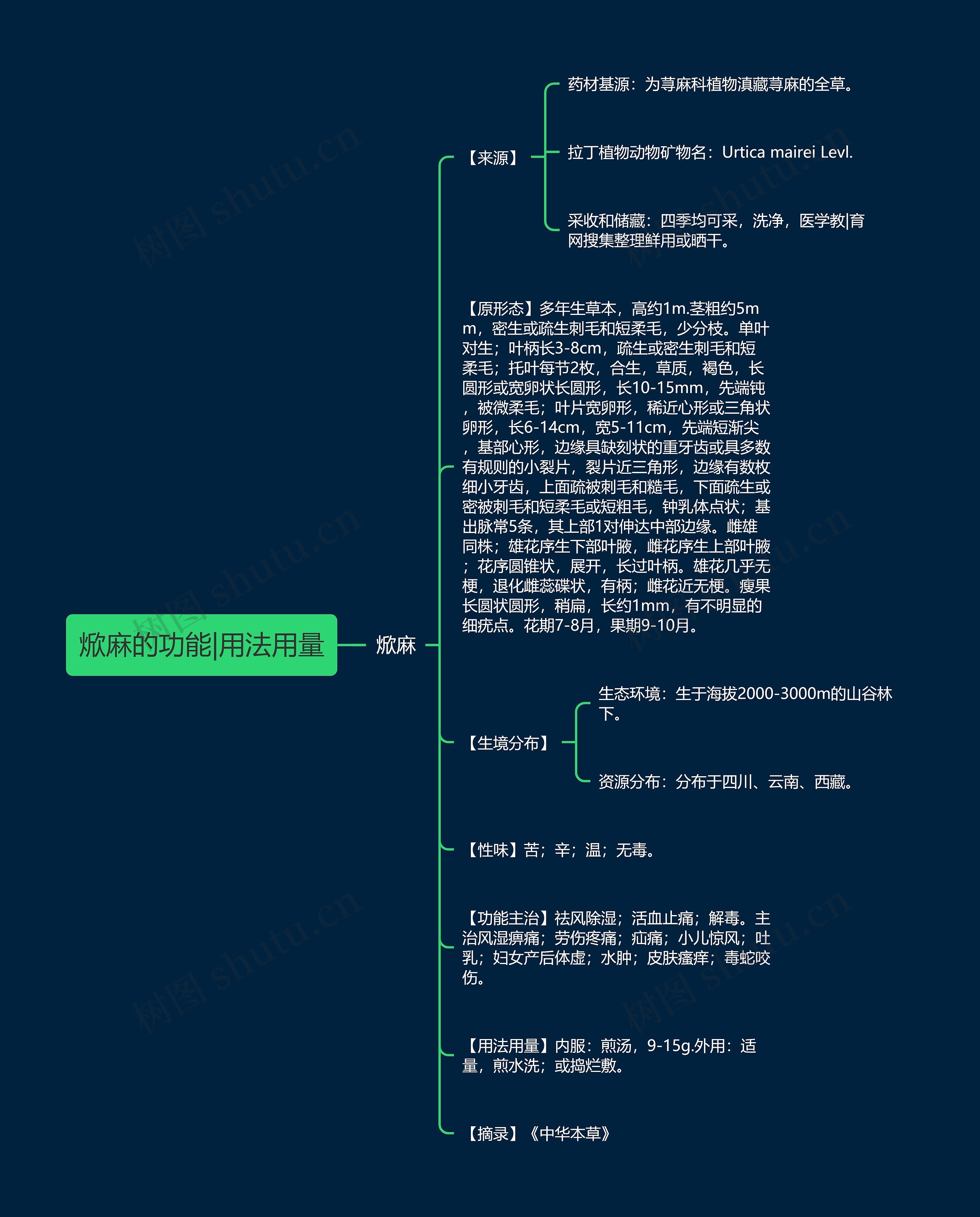 焮麻的功能|用法用量思维导图