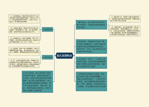 胎儿生理特点