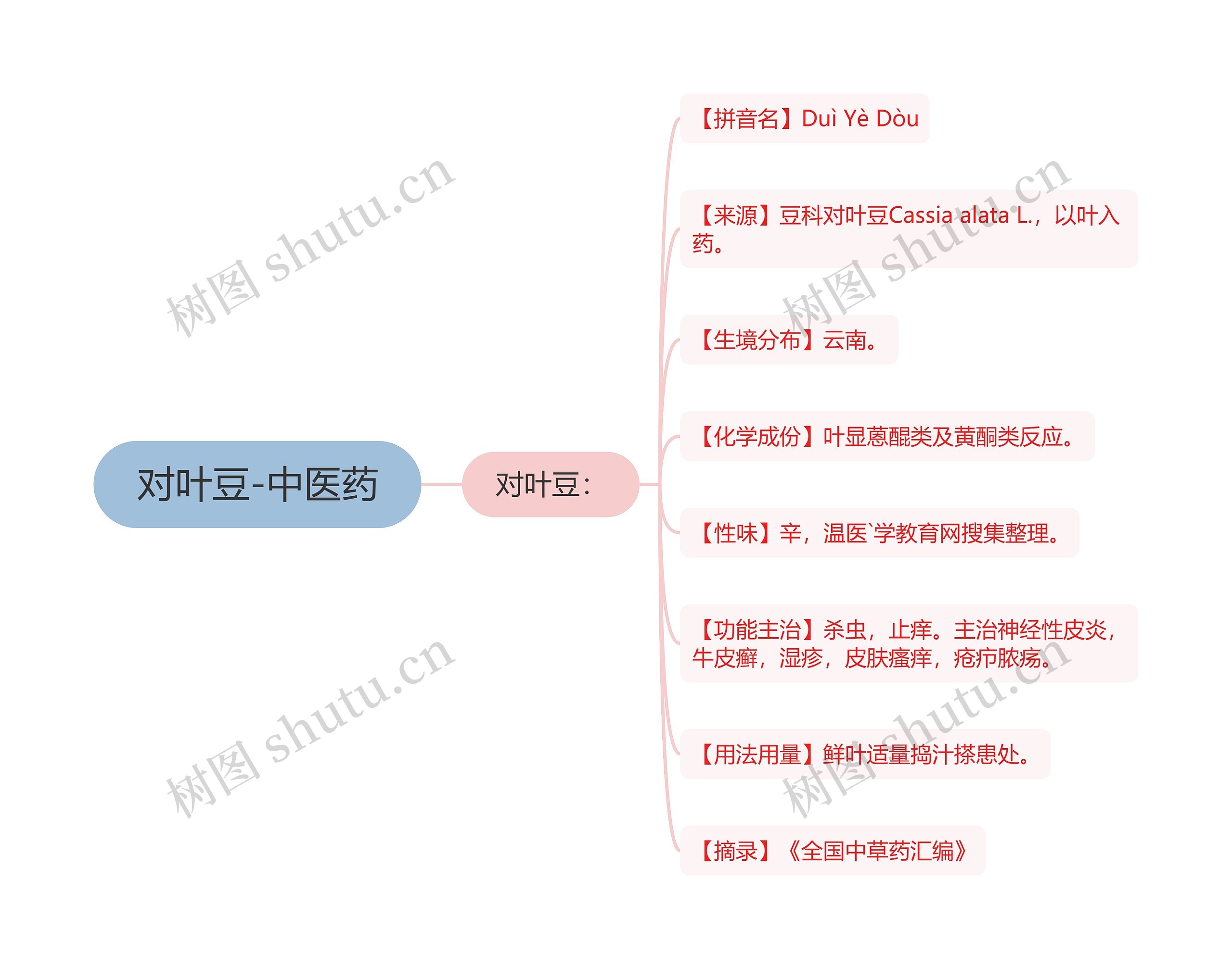 对叶豆-中医药思维导图