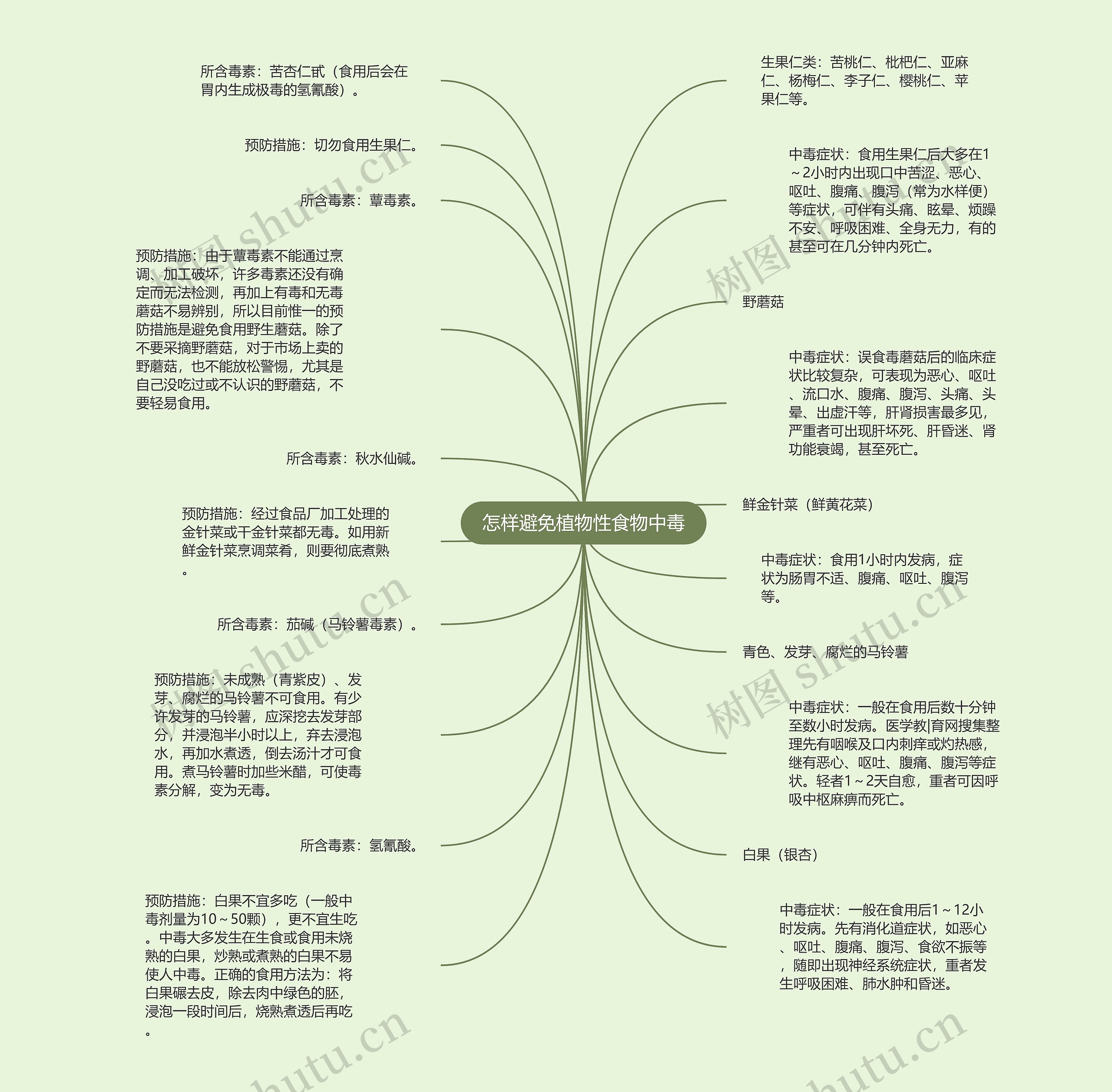 怎样避免植物性食物中毒思维导图