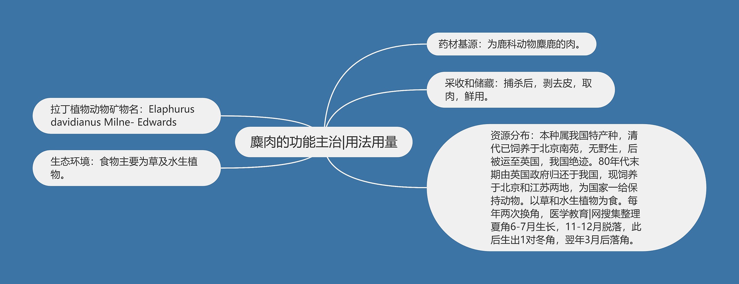 麋肉的功能主治|用法用量思维导图