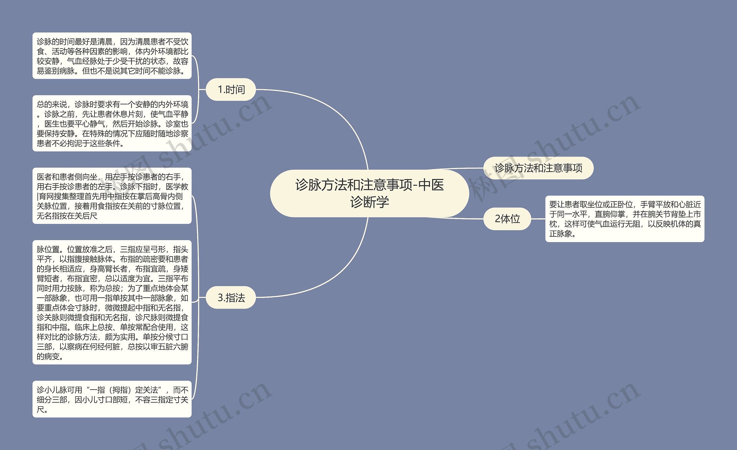 全身静脉分支思维导图图片