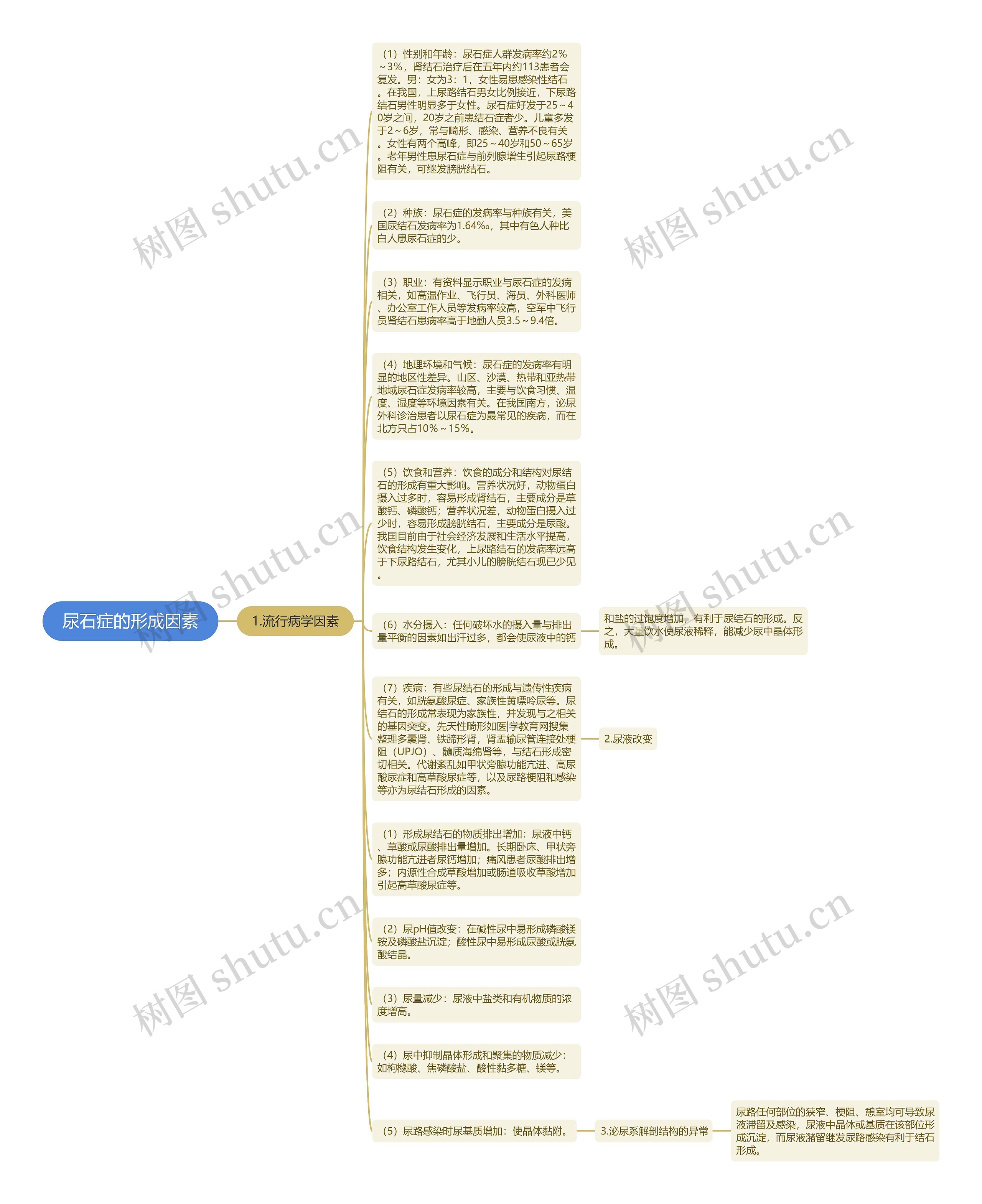 尿石症的形成因素思维导图
