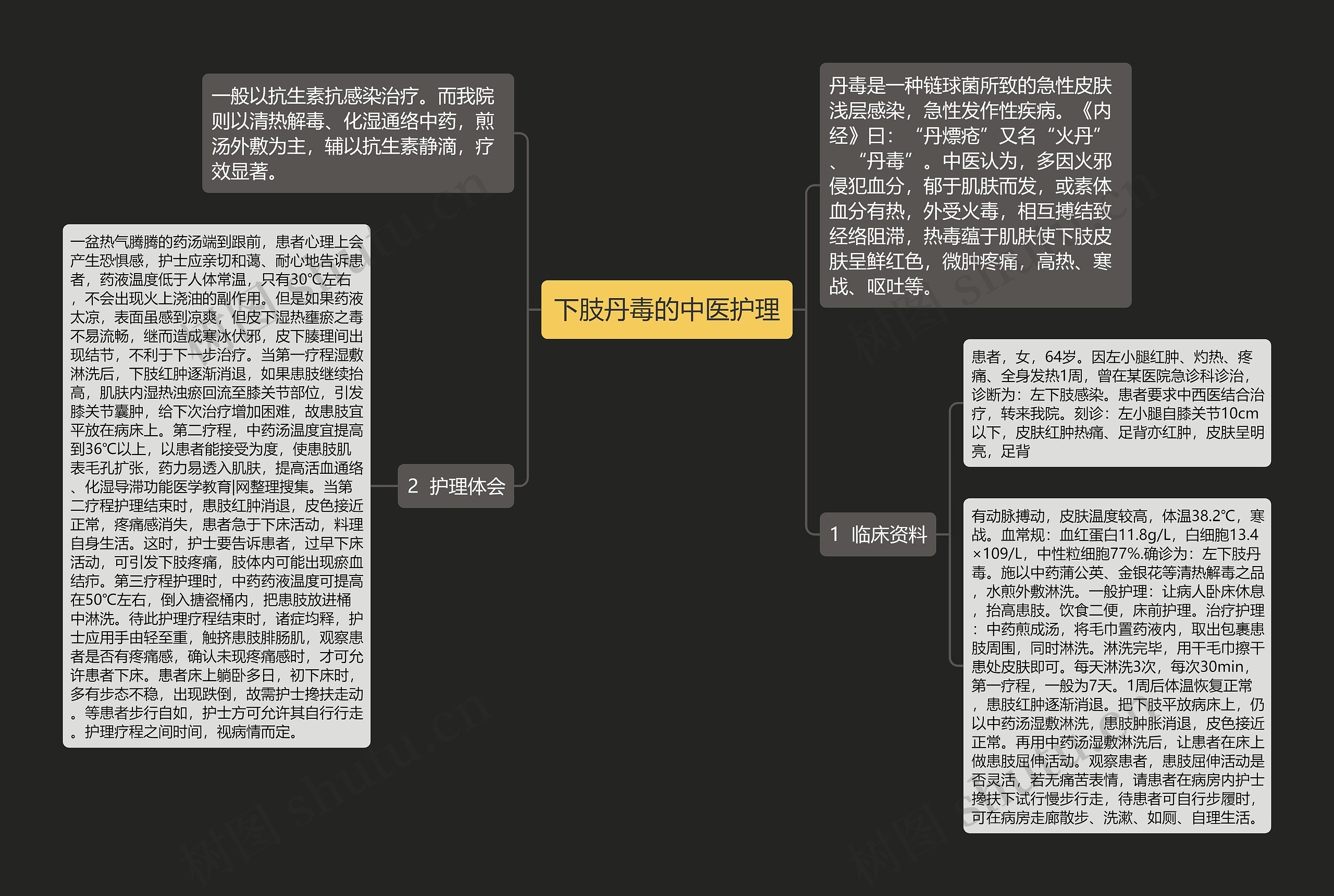 下肢丹毒的中医护理思维导图