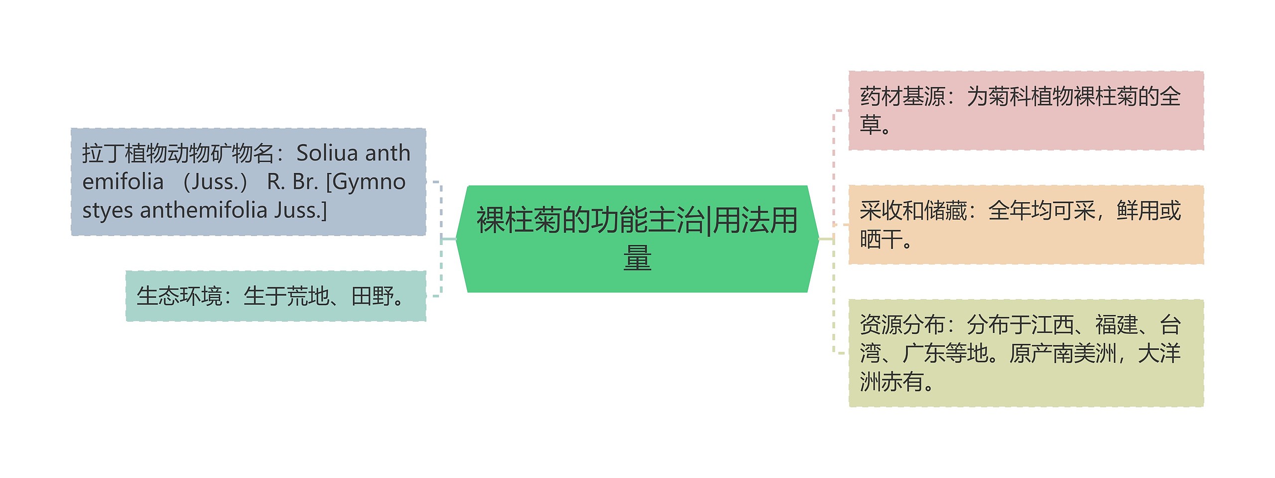 裸柱菊的功能主治|用法用量