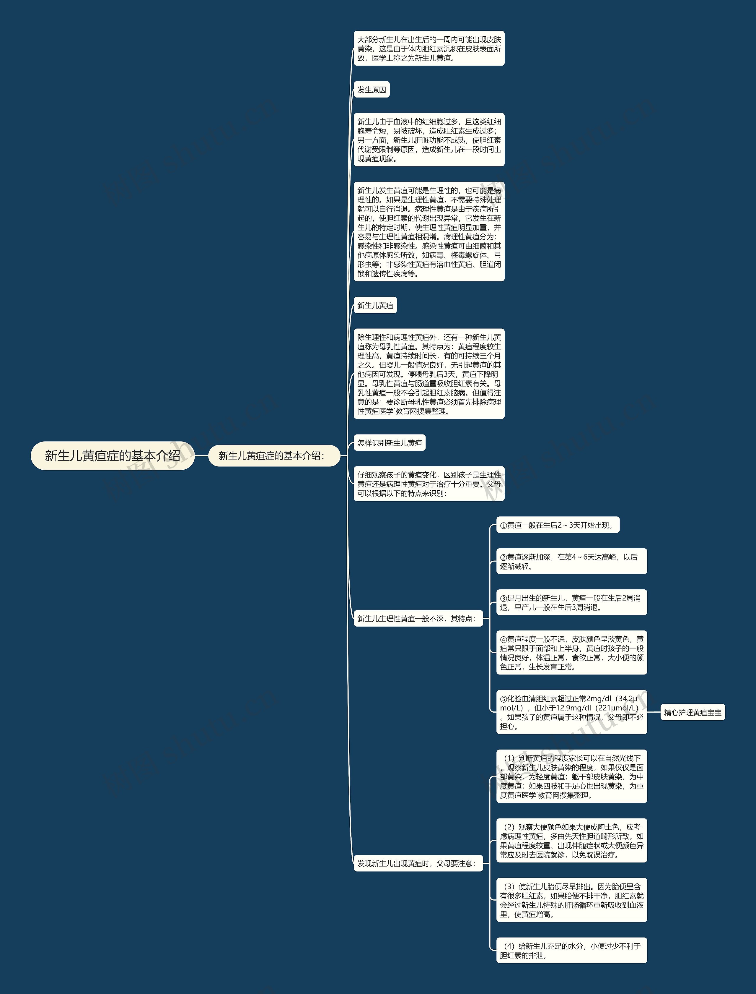 新生儿黄疸症的基本介绍思维导图
