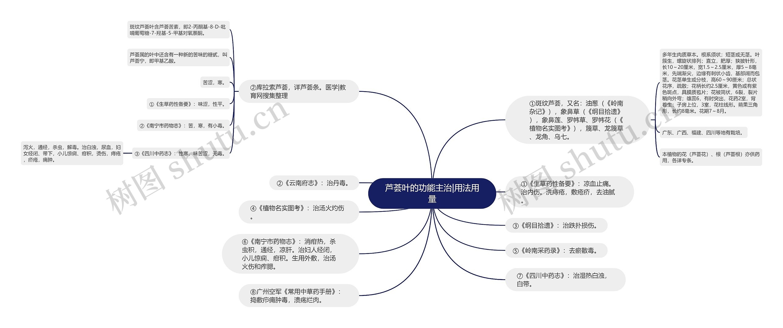 芦荟叶的功能主治|用法用量思维导图