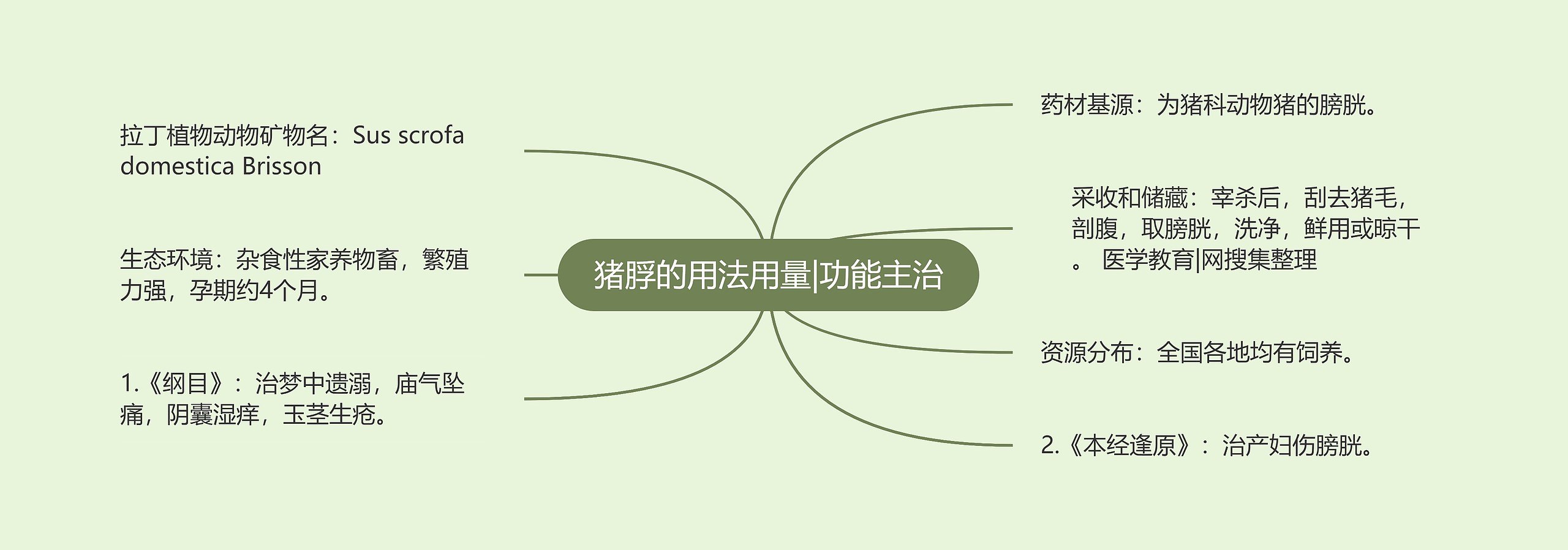 猪脬的用法用量|功能主治