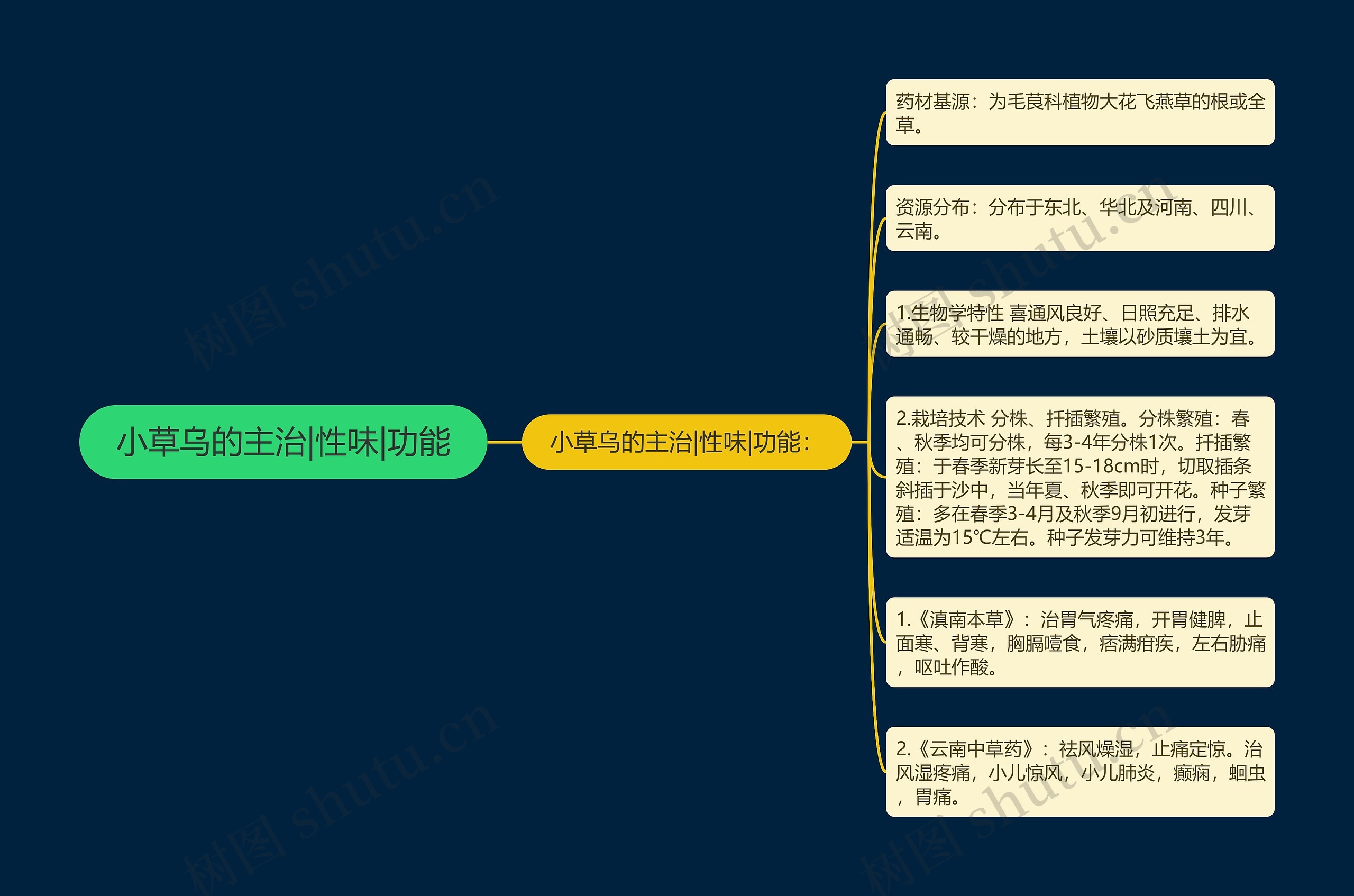 小草乌的主治|性味|功能