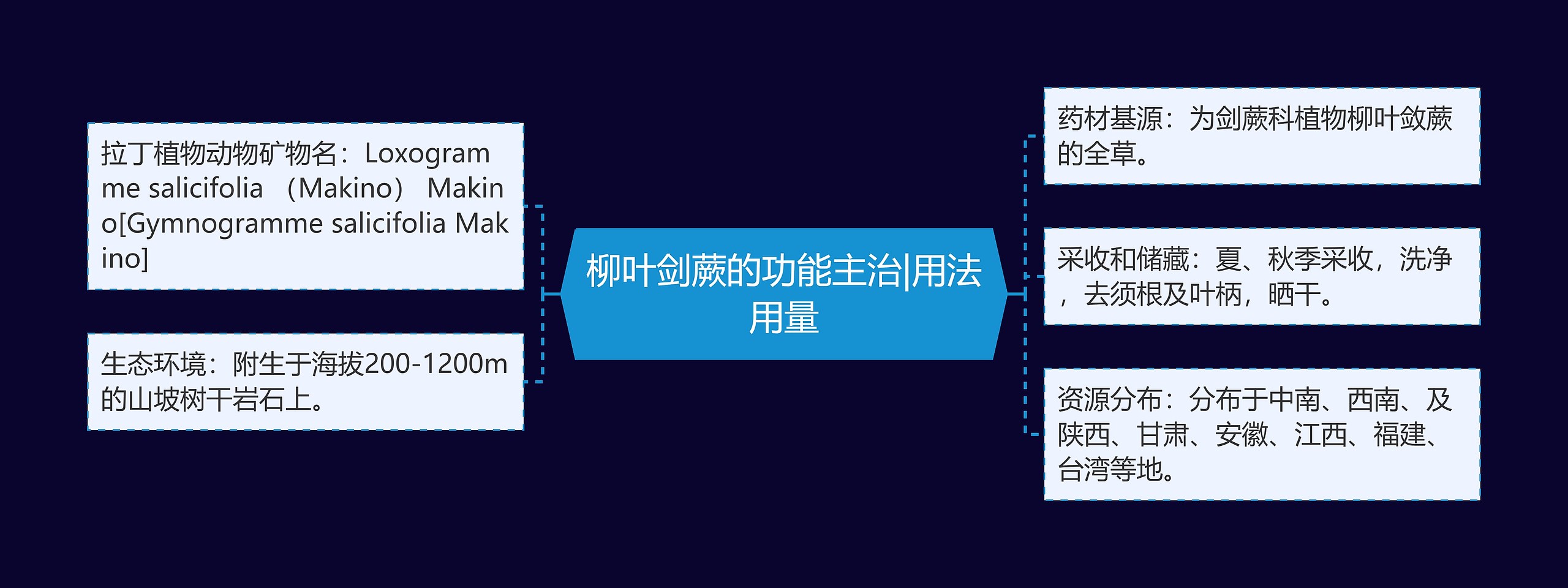 柳叶剑蕨的功能主治|用法用量思维导图